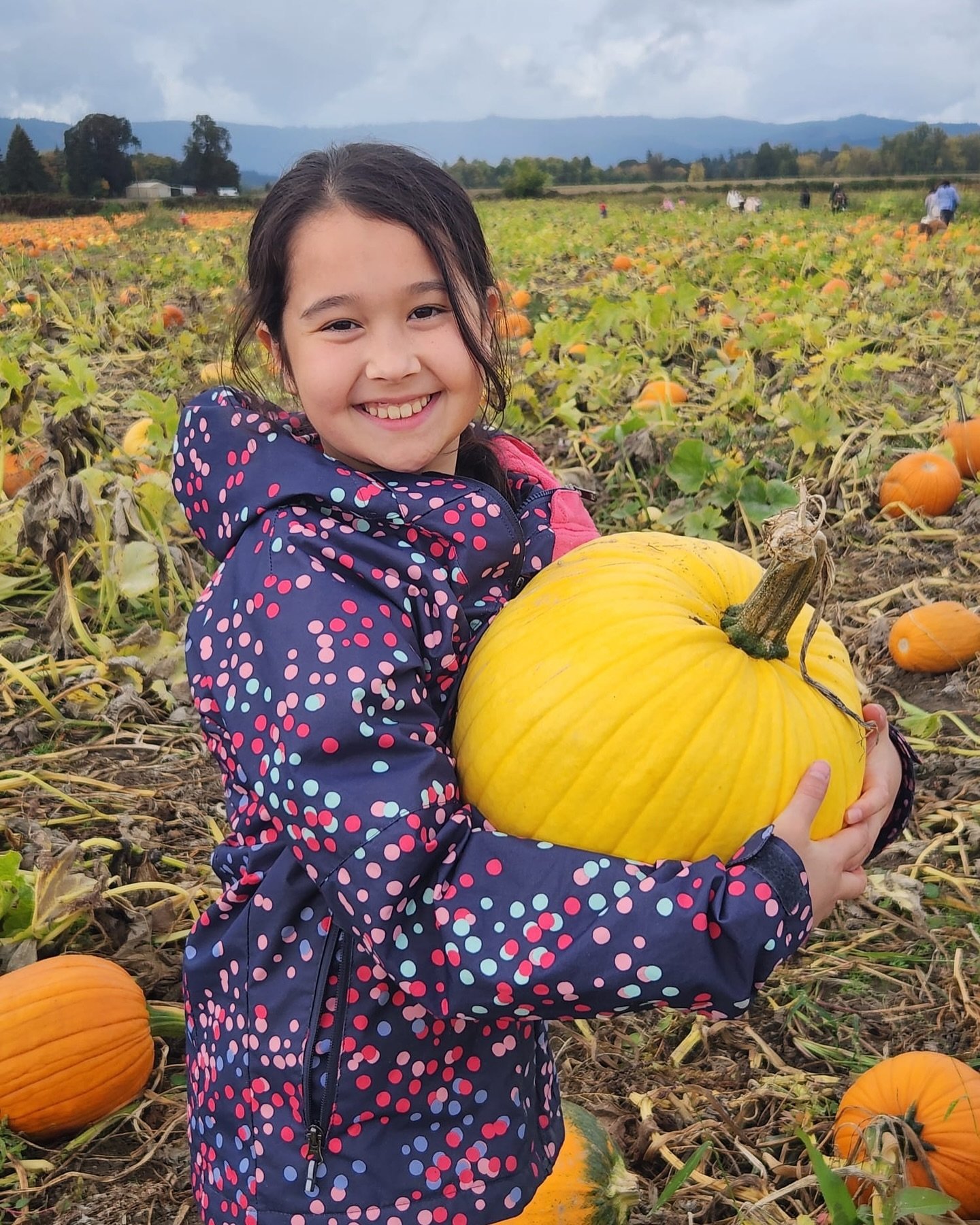 Our elementary students had an amazing day at the 🎃 pumpkin patch! They explored the farm 🐓, got lost in the labyrinth 🌽, made new animal friends 🐄, and had tons of fun socializing with each other 😄! A perfect fall adventure! 🍂✨