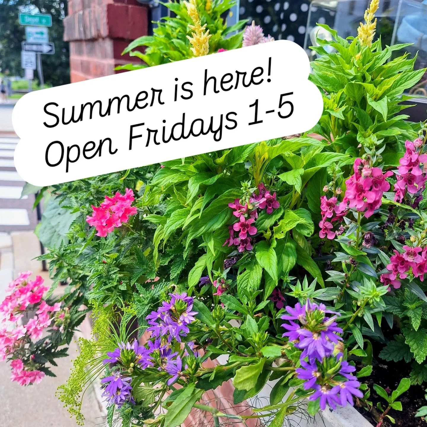 Have you noticed our beautiful flower boxes out in front of the shop? These are lovingly crafted and donated by Heidi Racht of Pleasant Mount Farm (and many other things!) in Huntington. Thank you Heidi and Pleasant Mount Farm!!

Did you know we're n