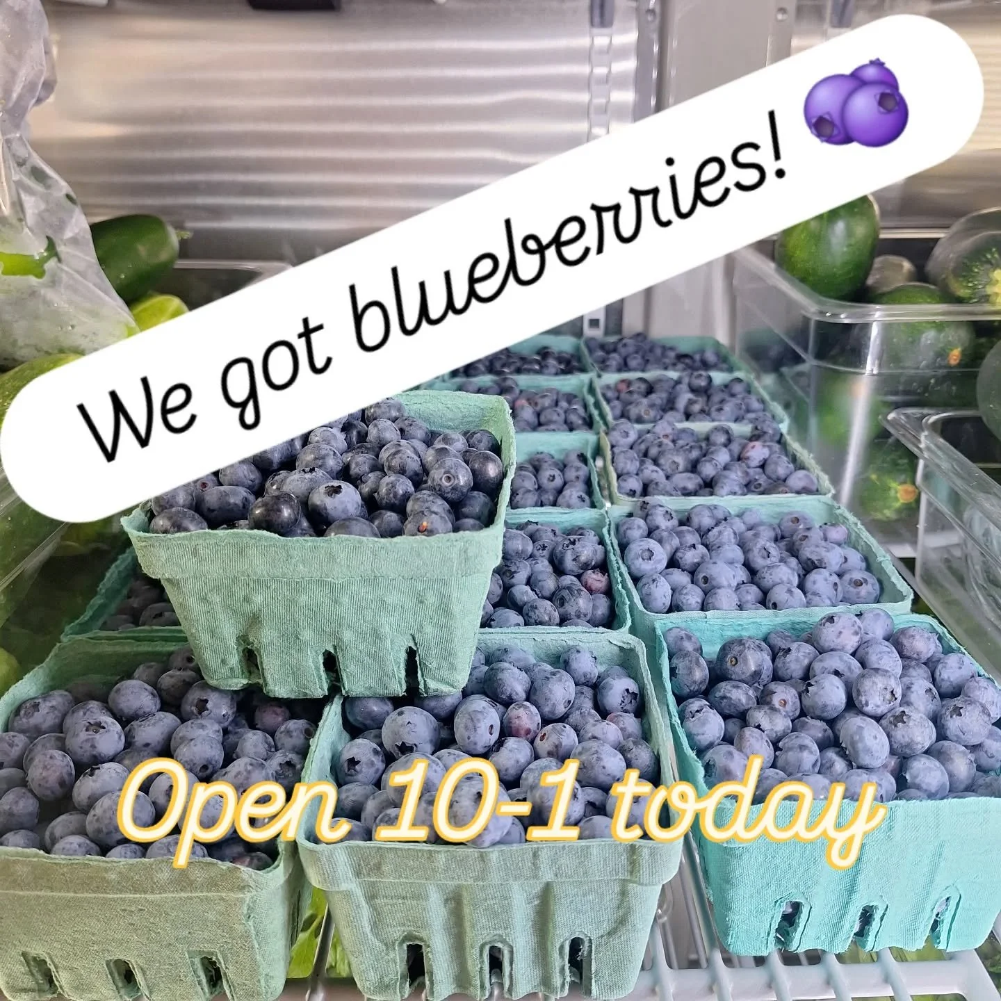 Thanks to @owlsheadblueberryfarm for the delicious blueberries, and to @adamsberryfarm and @jubileefarmvt for the pint containers!