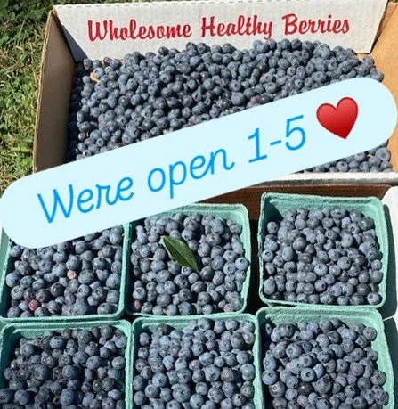 Just picked today! Come on in for food and/or clothes from 1-5pm today.