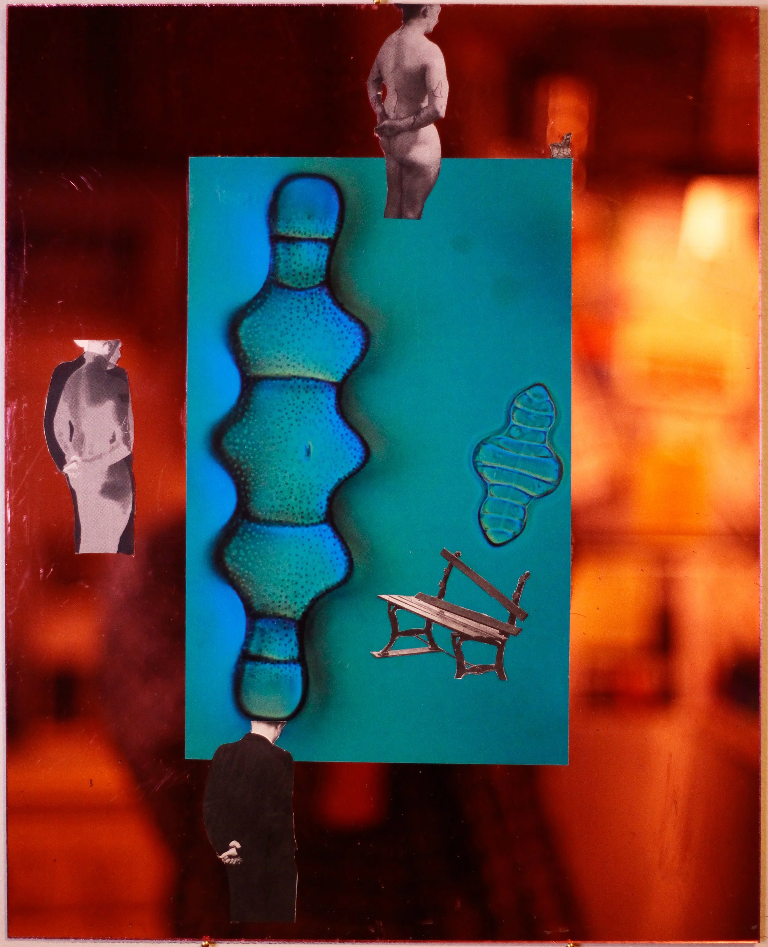 macros&micros2 (2025)