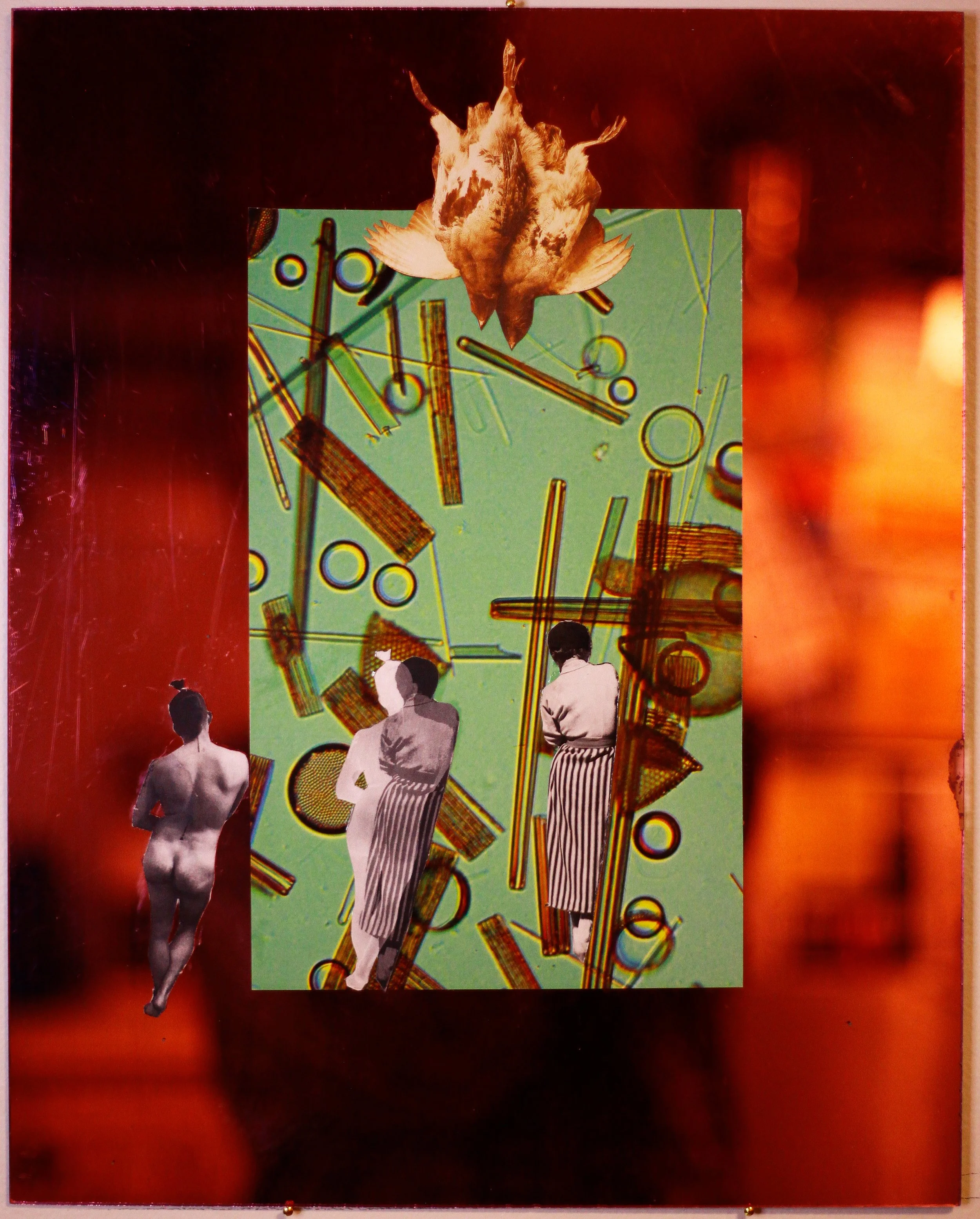 macros&micros3 (2025)