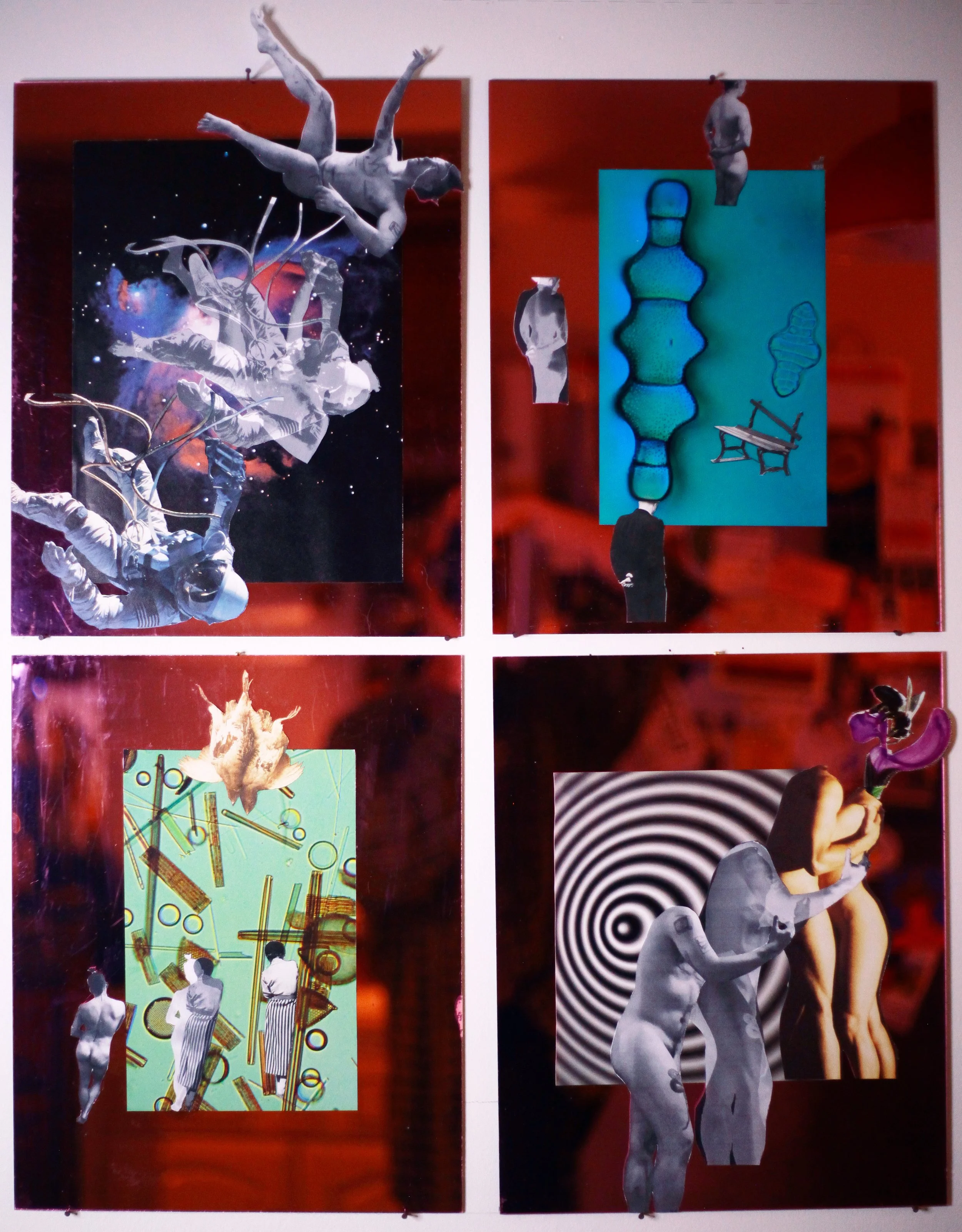 macros & micros (1-4), 2025