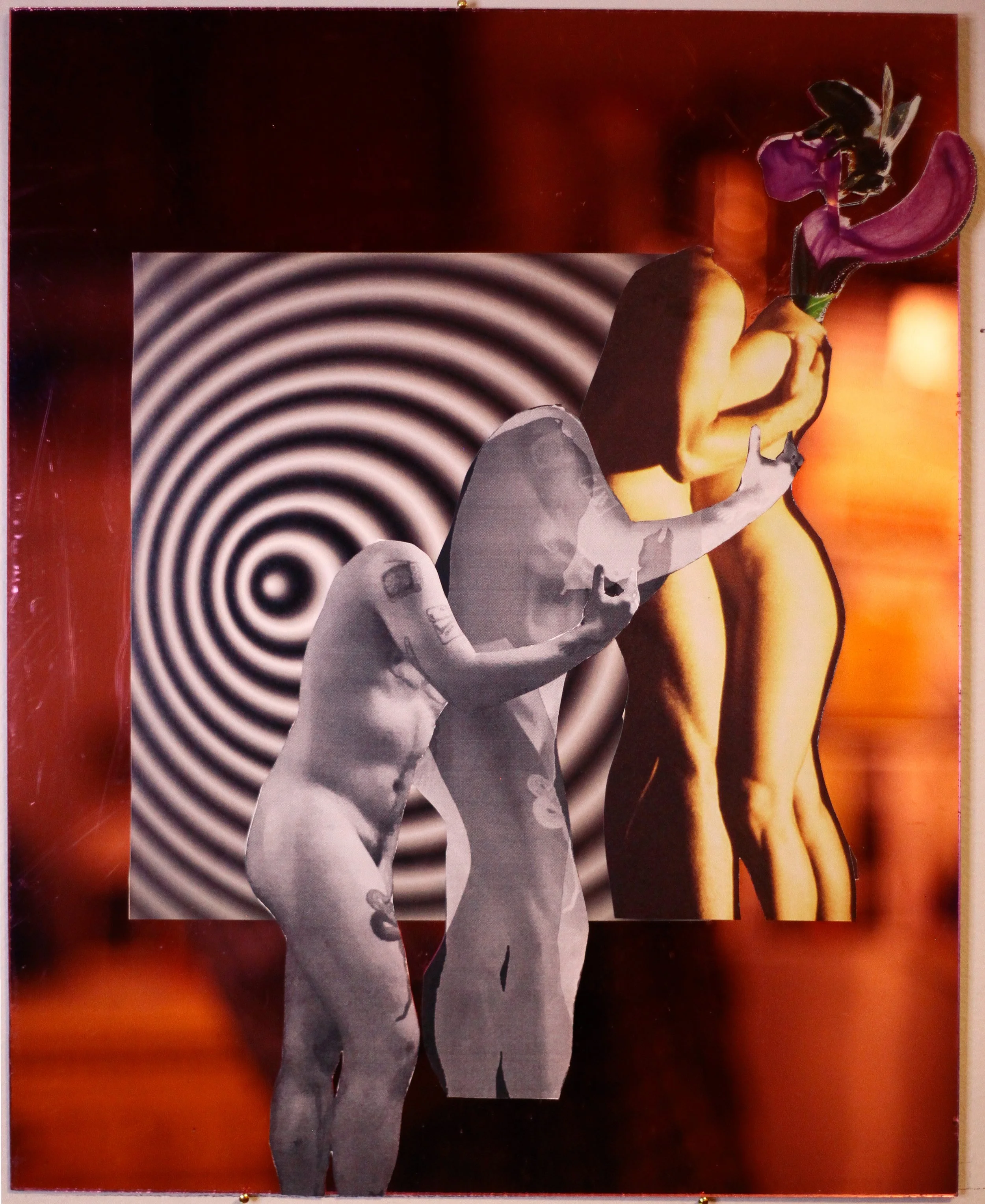 macros&micros4 (2025)