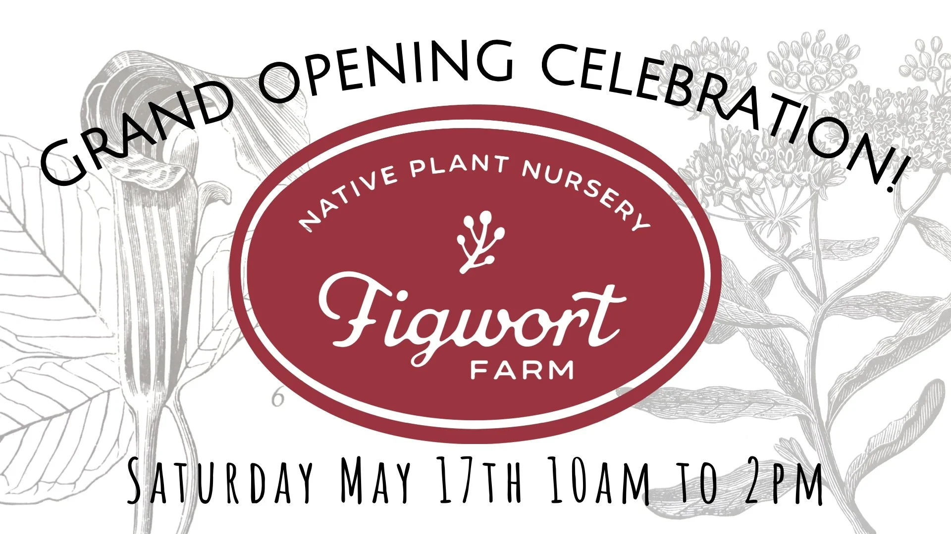 Nursery Grand Opening Celebration!