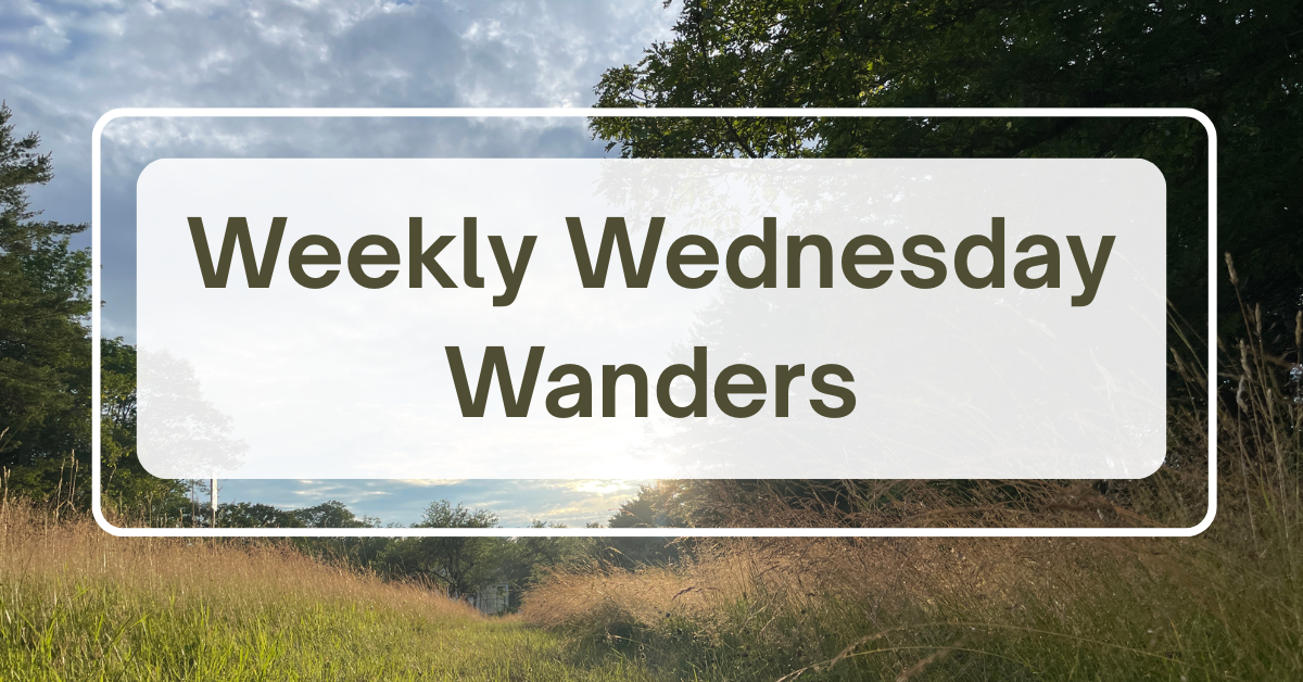 Weekly Wednesday Wander