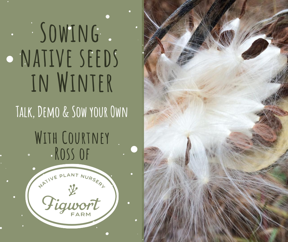 Sowing Native Seeds in Winter: Talk, Demo & Sow Your Own
