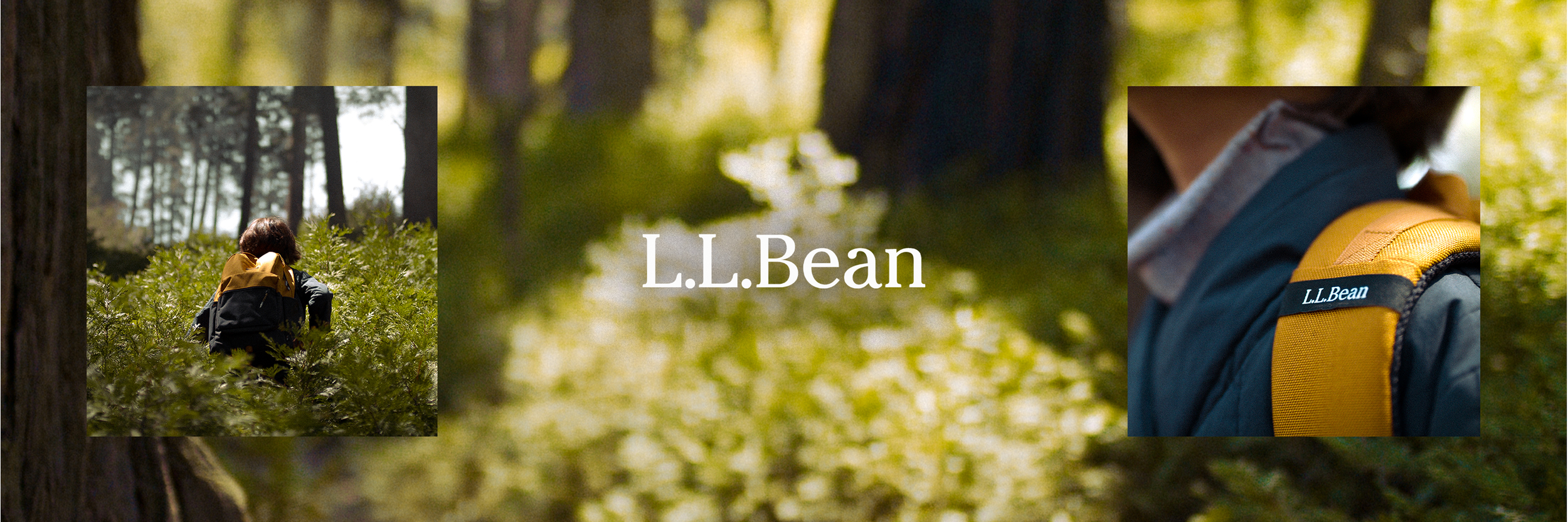 LLB_WIDE.png