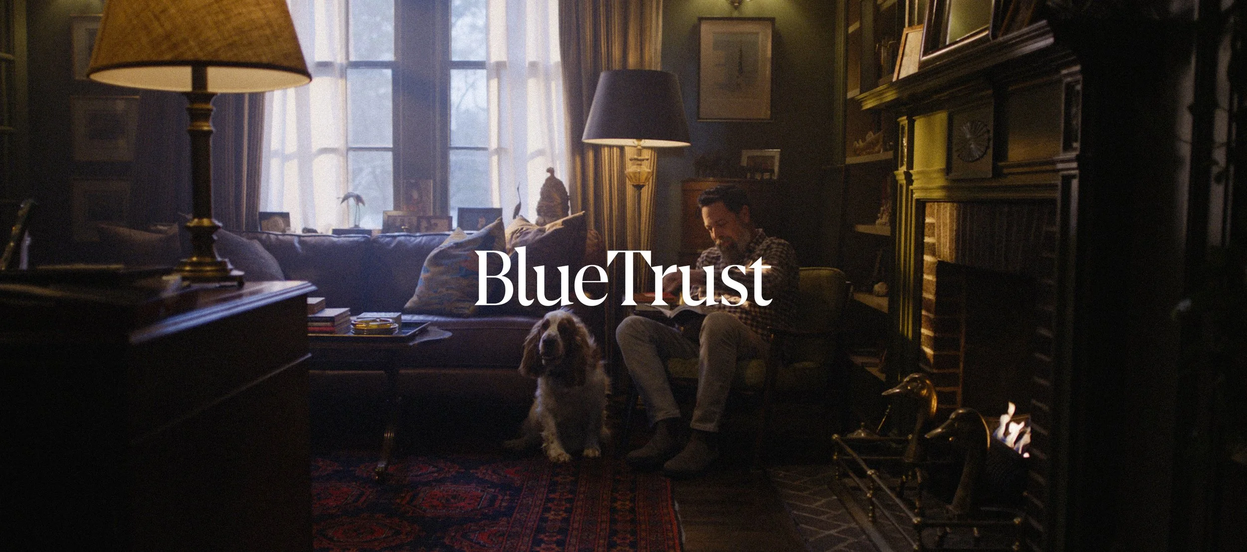 BlueTrust_3UP_3.jpg