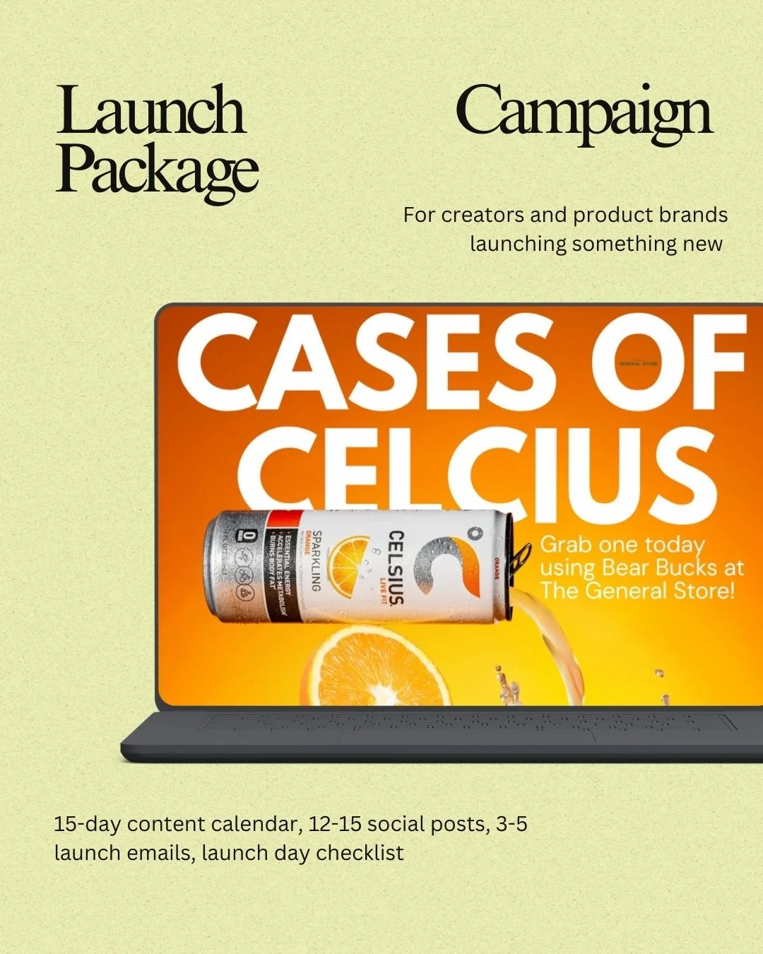 Launch Campaign Package (2 week payment plan)