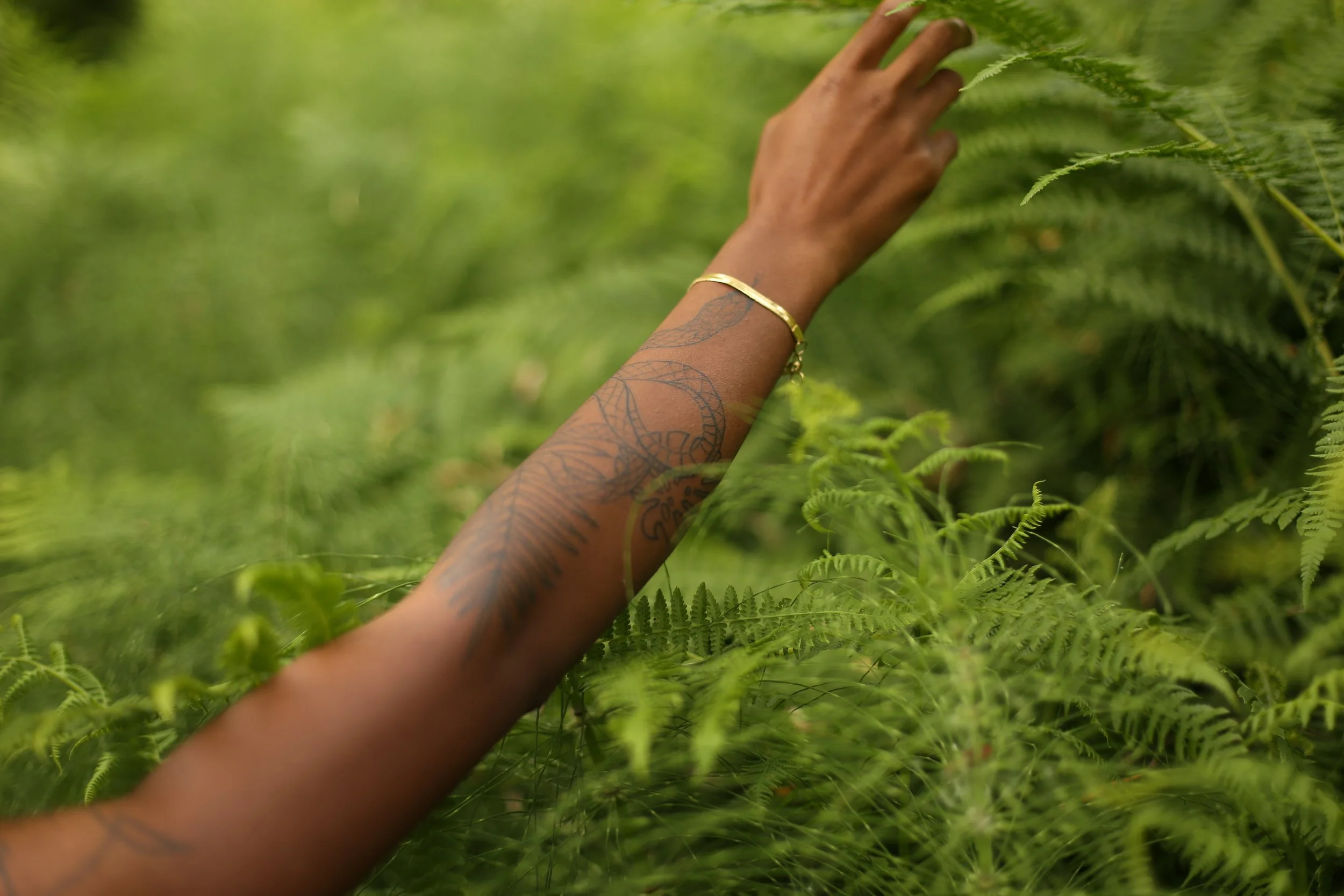 A person's arm with tattoos reaching out to touch green fern leaves in a lush outdoor setting.