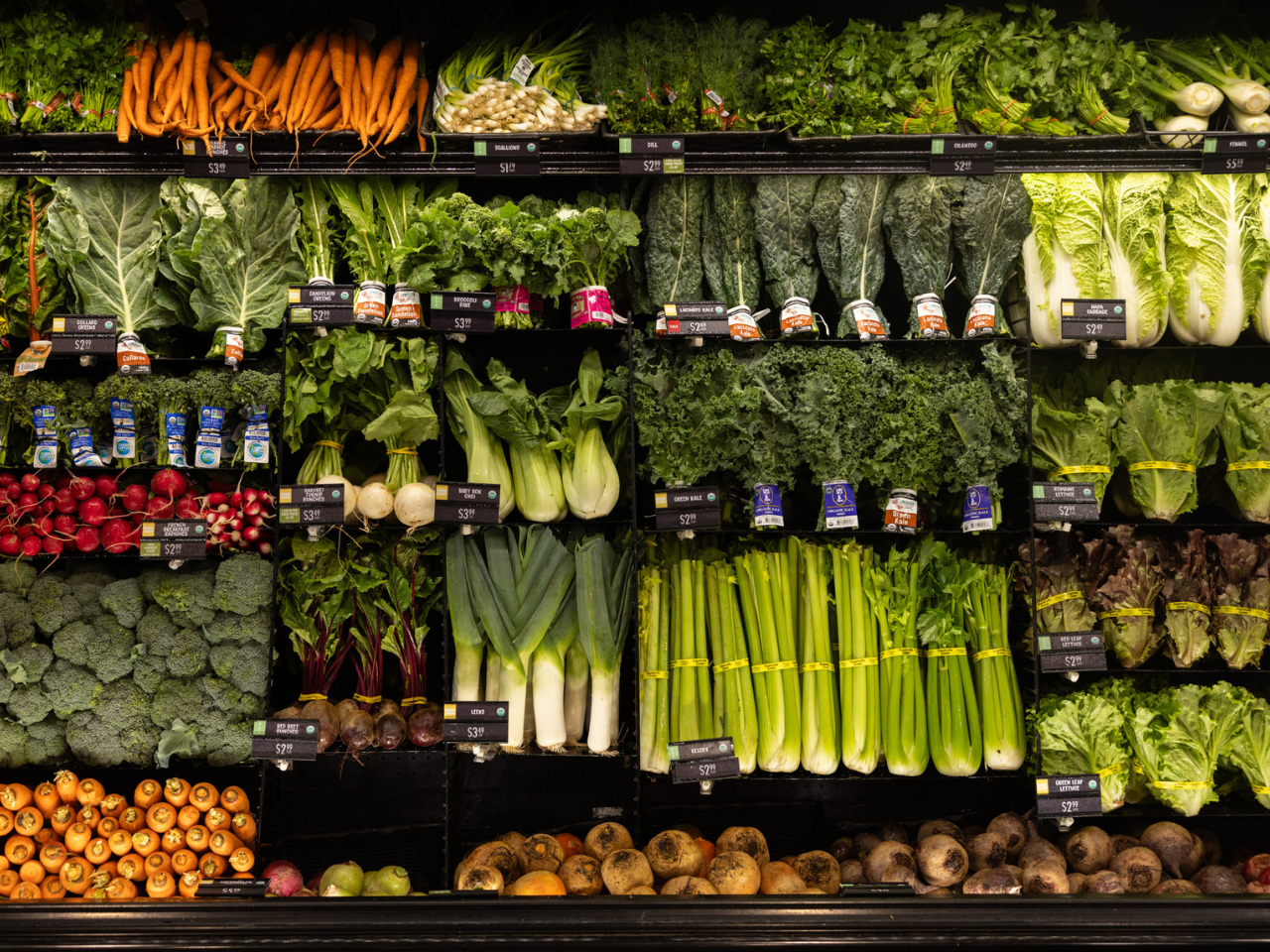 Newsletter Graphics 1280x960px (45 aspect ratio) (12).png