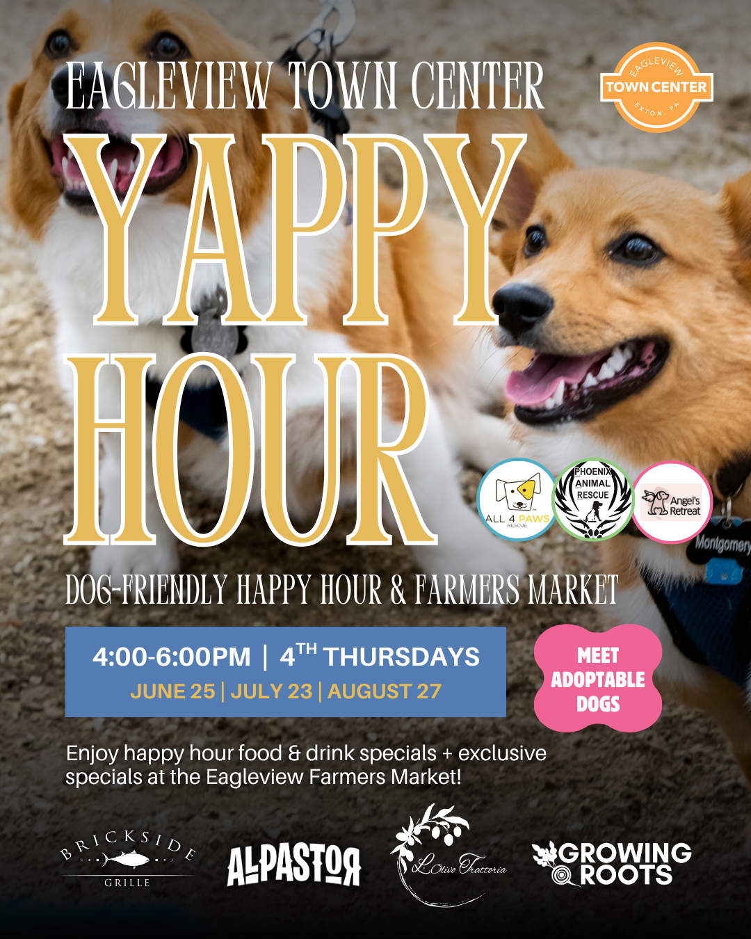 Eagleview Yappy Hour: Dog-Friendly Happy Hour &amp; Farmers Market