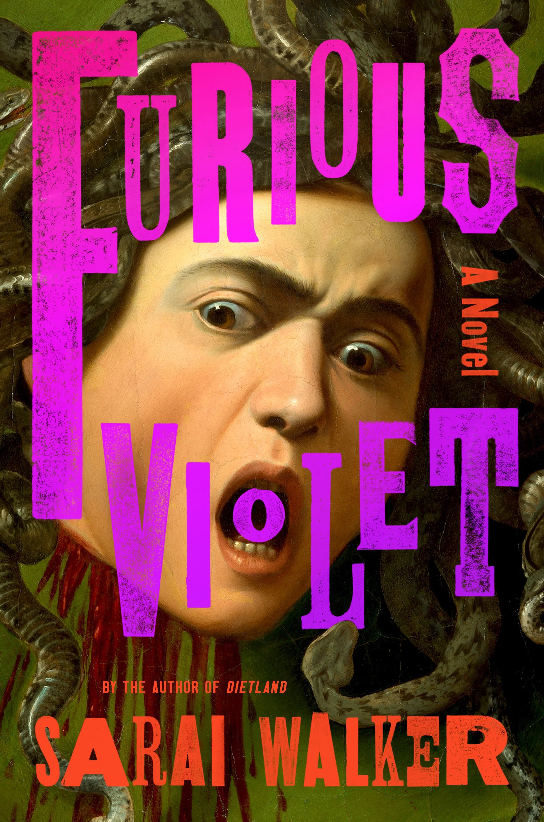 Furious Violet cover.jpg