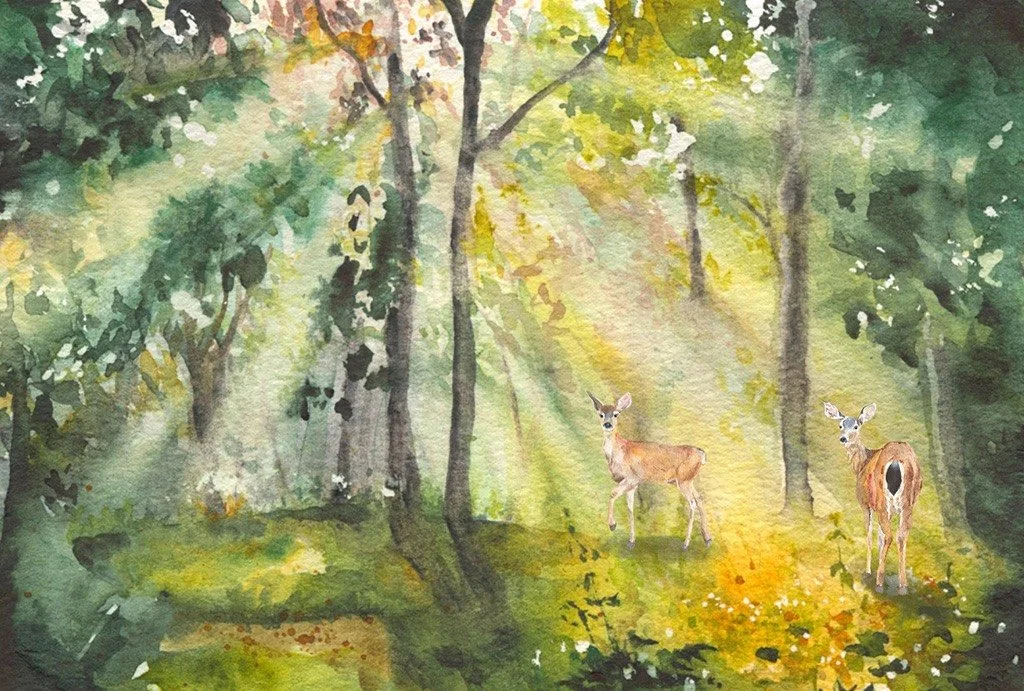 Forest_right_1.jpg