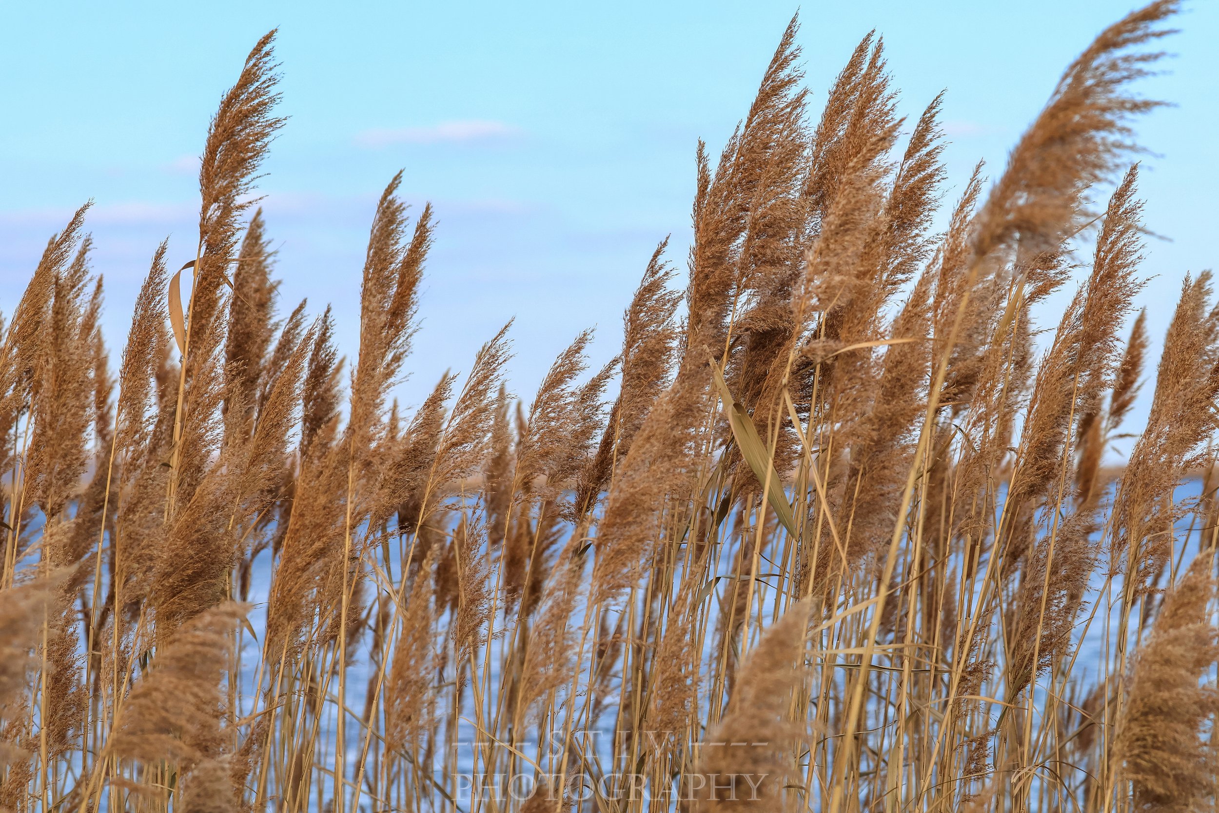 a2d703d1-9220-4960-b5b8-999597b86d2f.jpg