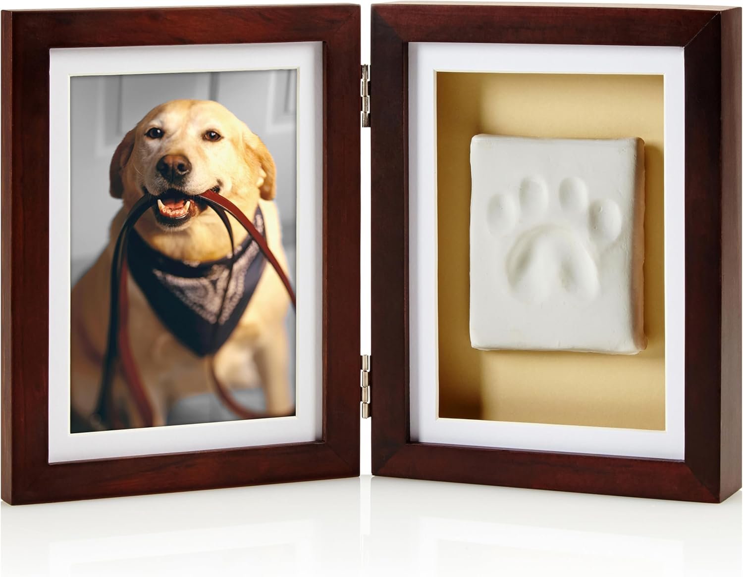 pawprintframe.jpg