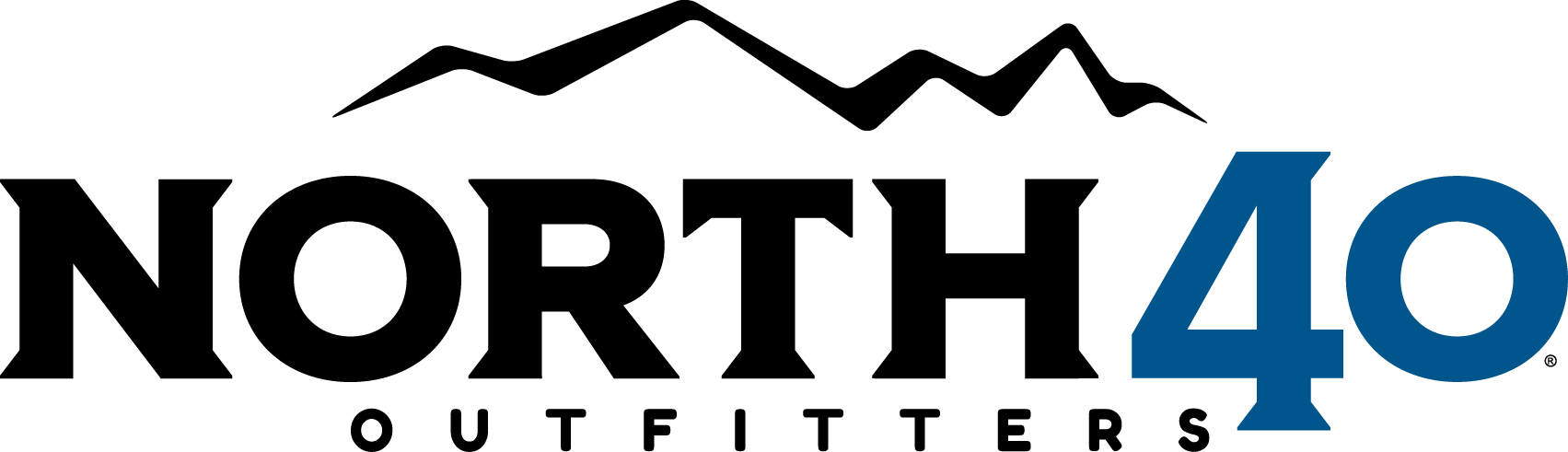 N40 Logo 2C_black_blue 1-2.png