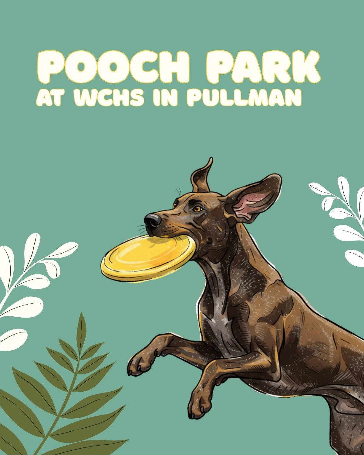 Your pups, your stories! 📸 If you've got epic Pooch Park content, we want to see it! Send us videos of those legendary zoomies or group play sessions.