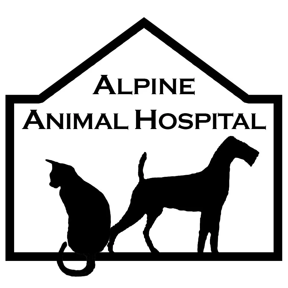 Alpine.jpg