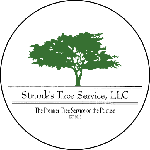 Strunk-Final-Logo-scaled-1.png