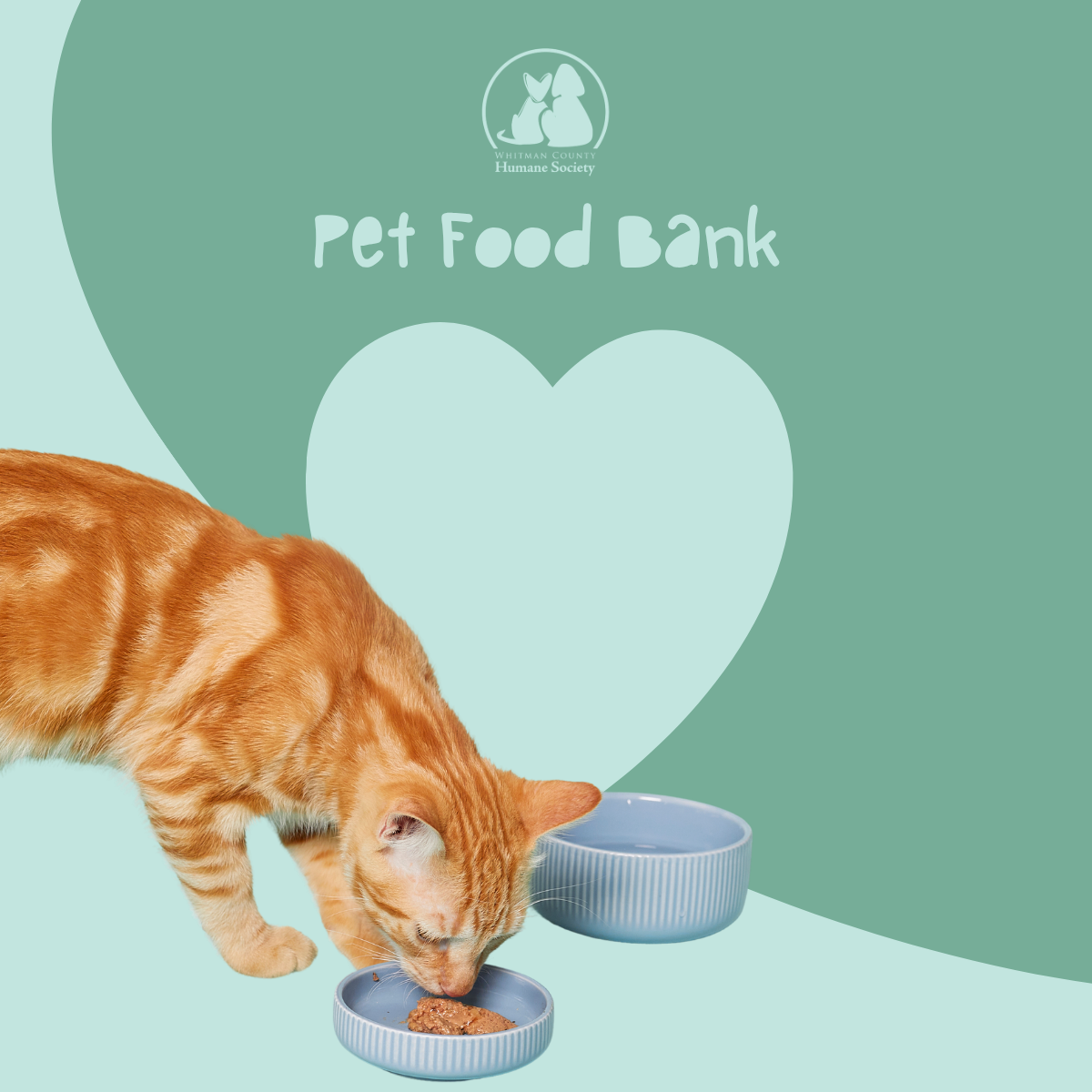 Community Food Bank