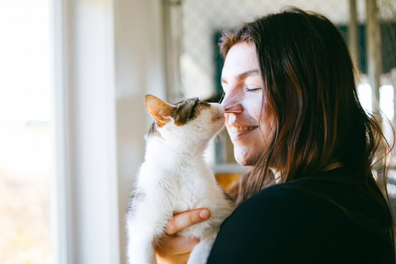 Rachel - Cat Lead