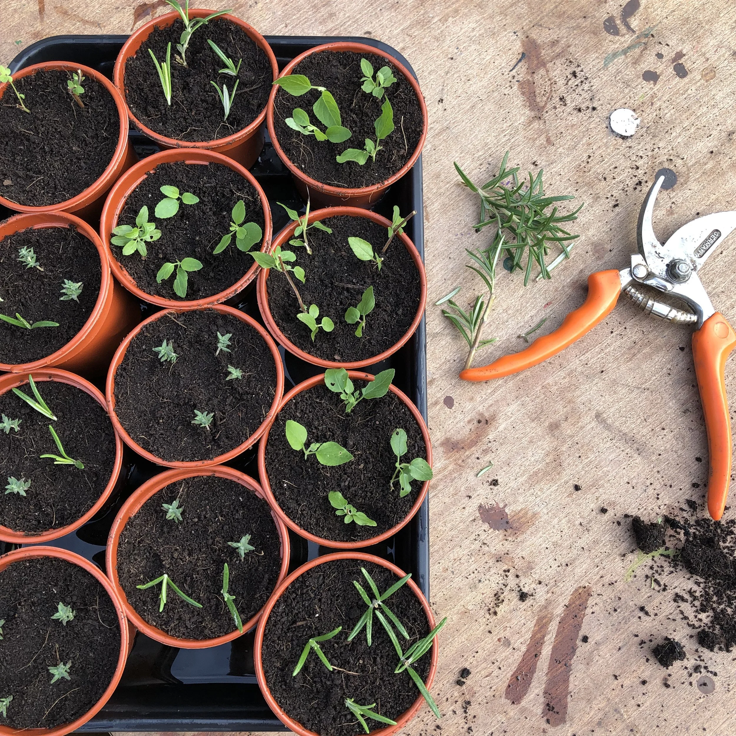 Simple Propagation Skills