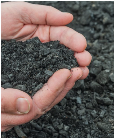 Making and using biochar for sustainable gardening practices