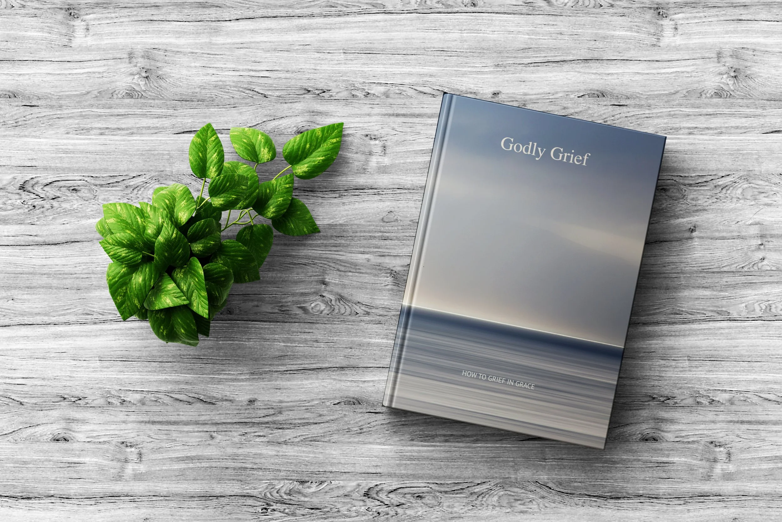 Book_Cover.jpg