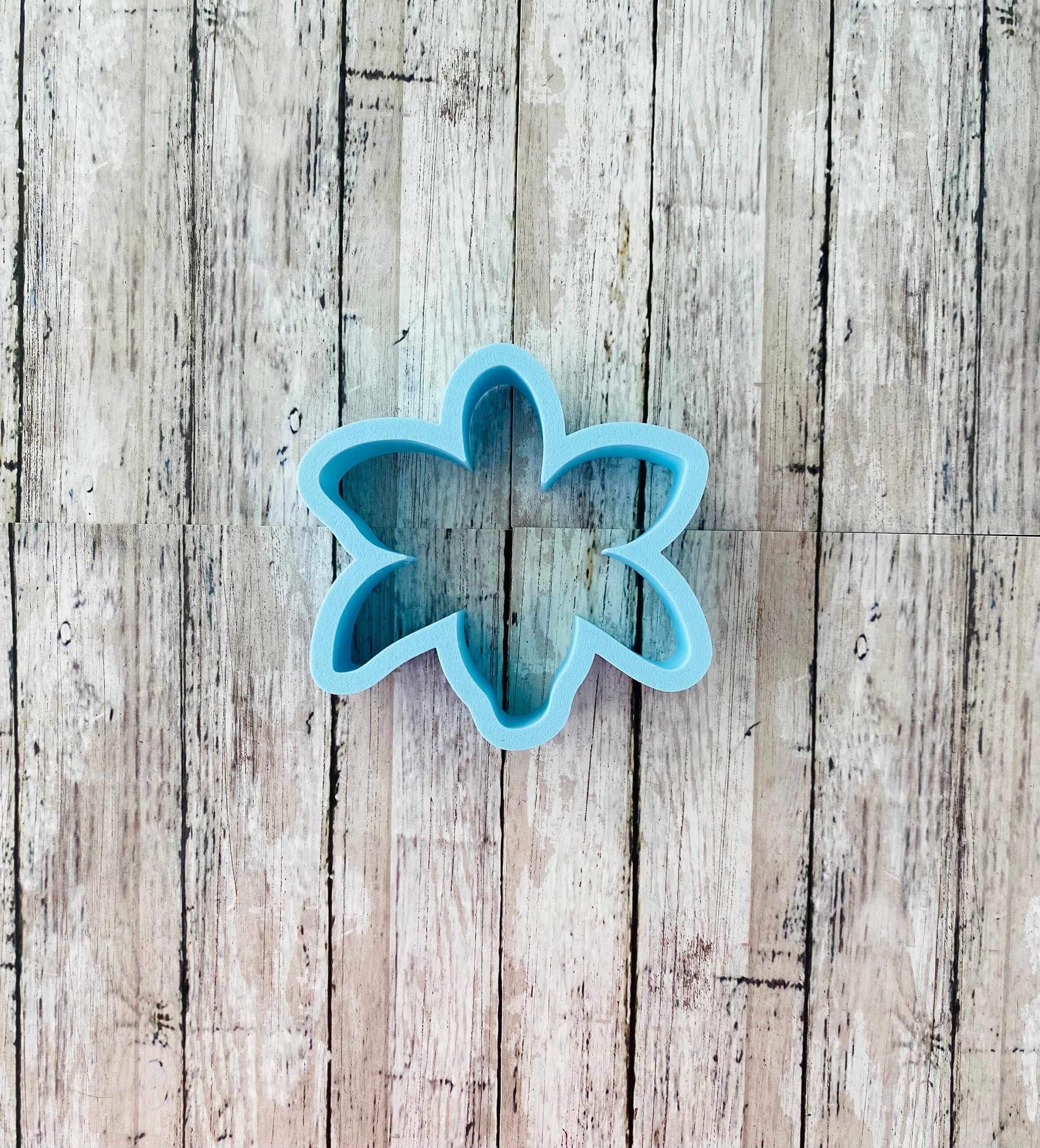 https://i.etsystatic.com/44501333/r/il/04e48e/5877928702/il_fullxfull.5877928702_cwg6.jpg
