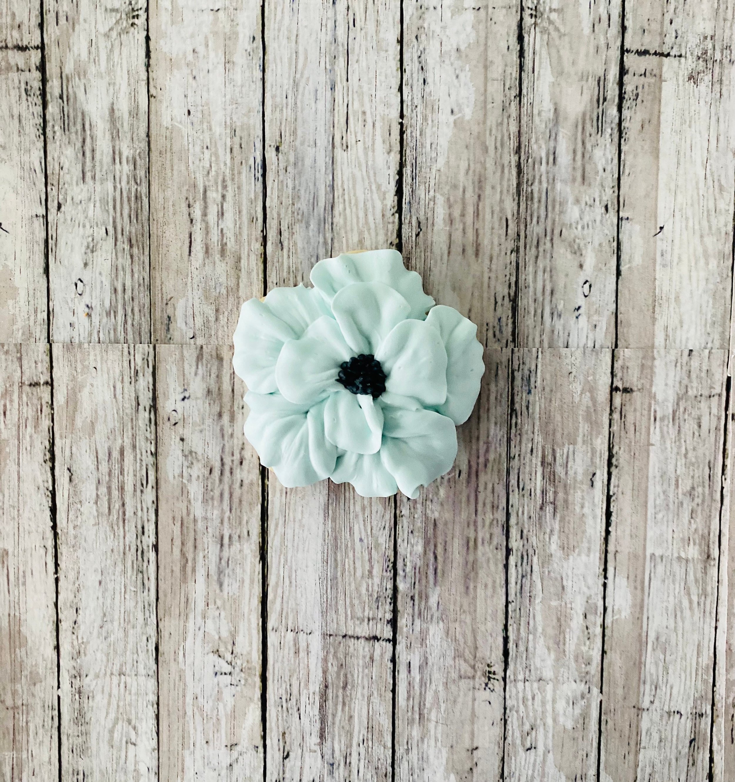https://i.etsystatic.com/44501333/r/il/f0f100/5911542795/il_fullxfull.5911542795_ev8t.jpg
