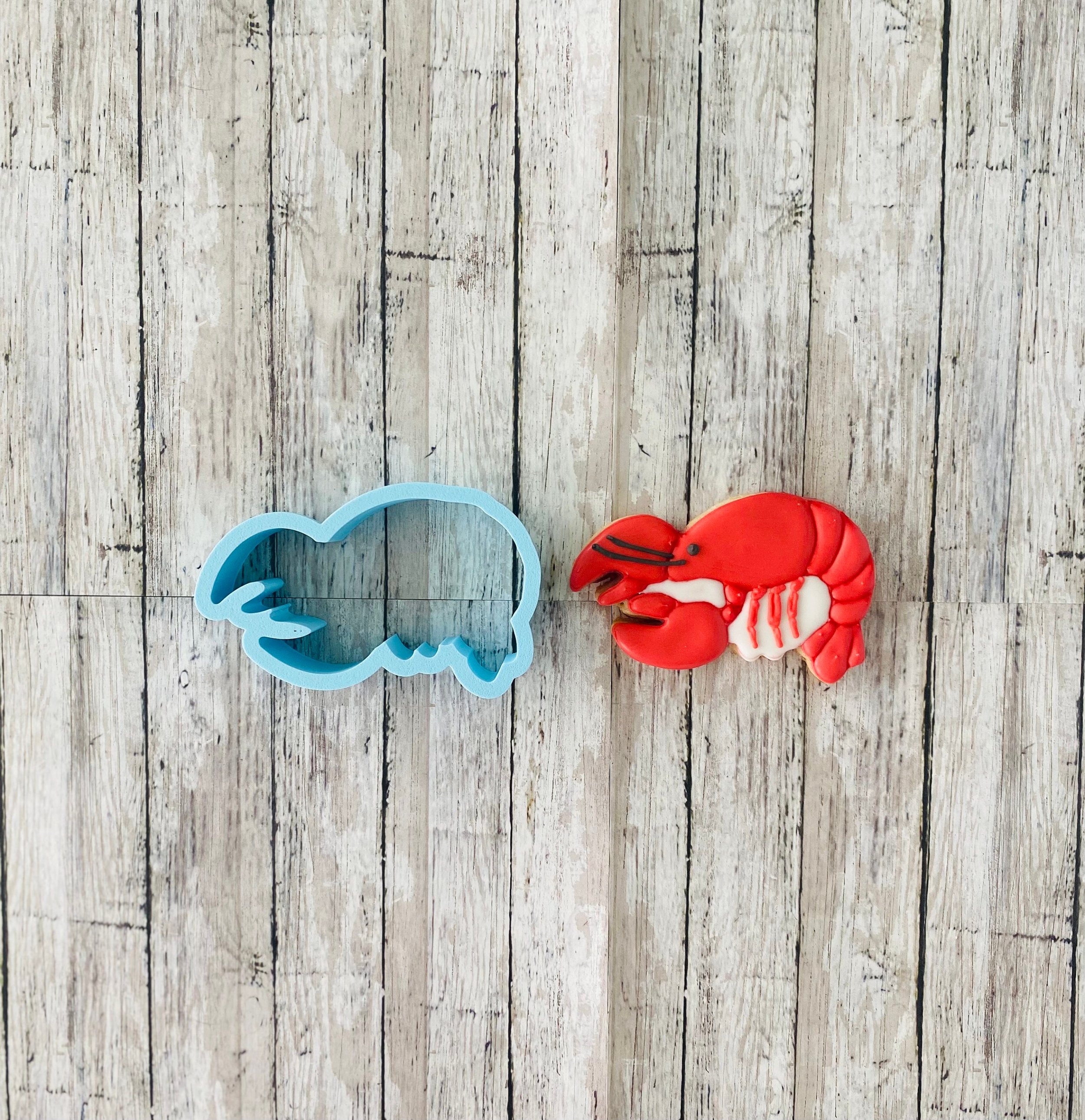 https://i.etsystatic.com/44501333/r/il/f1639e/5976534783/il_fullxfull.5976534783_8ome.jpg