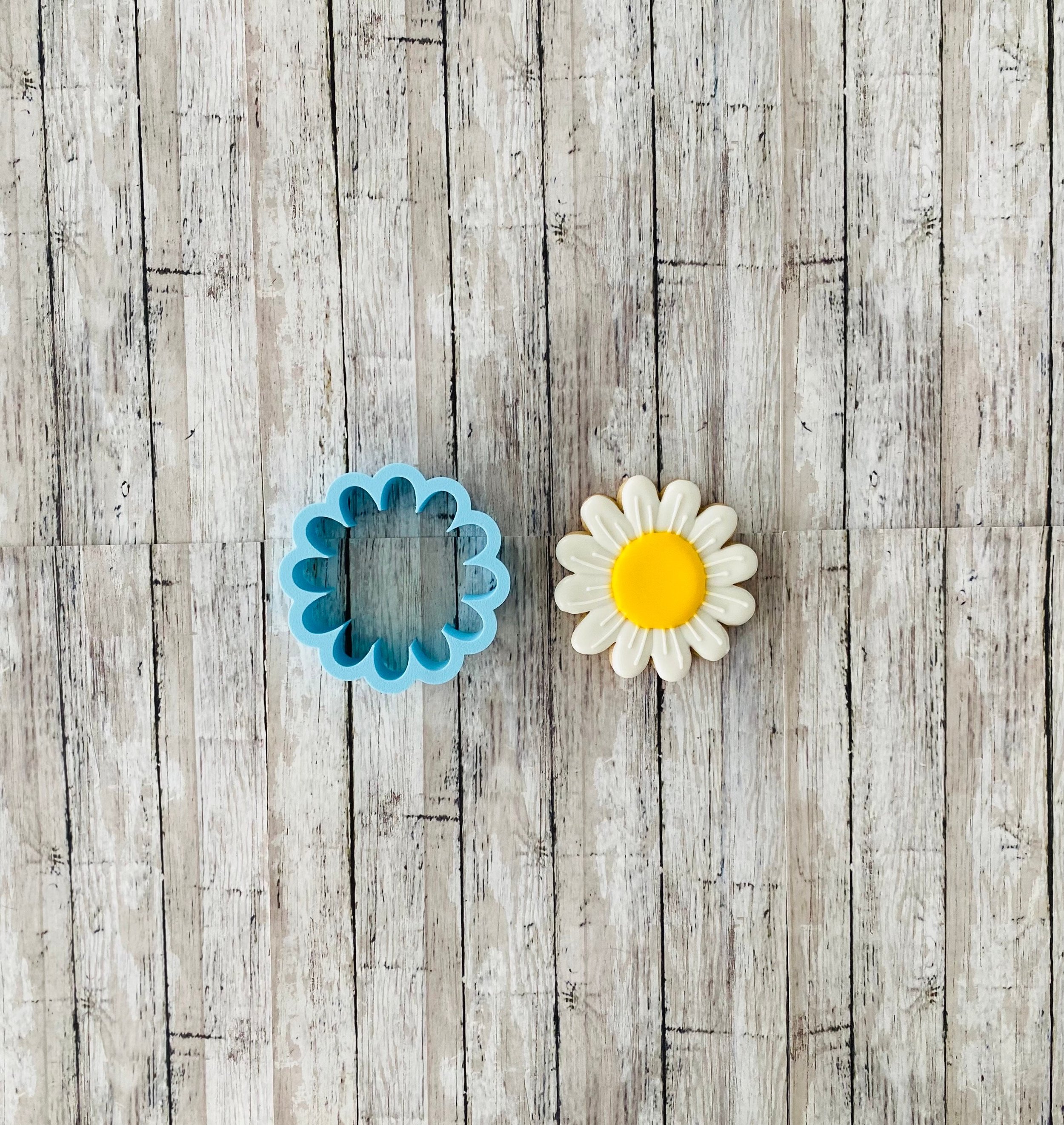 https://i.etsystatic.com/44501333/r/il/dcd4c8/5796392541/il_fullxfull.5796392541_1cmm.jpg