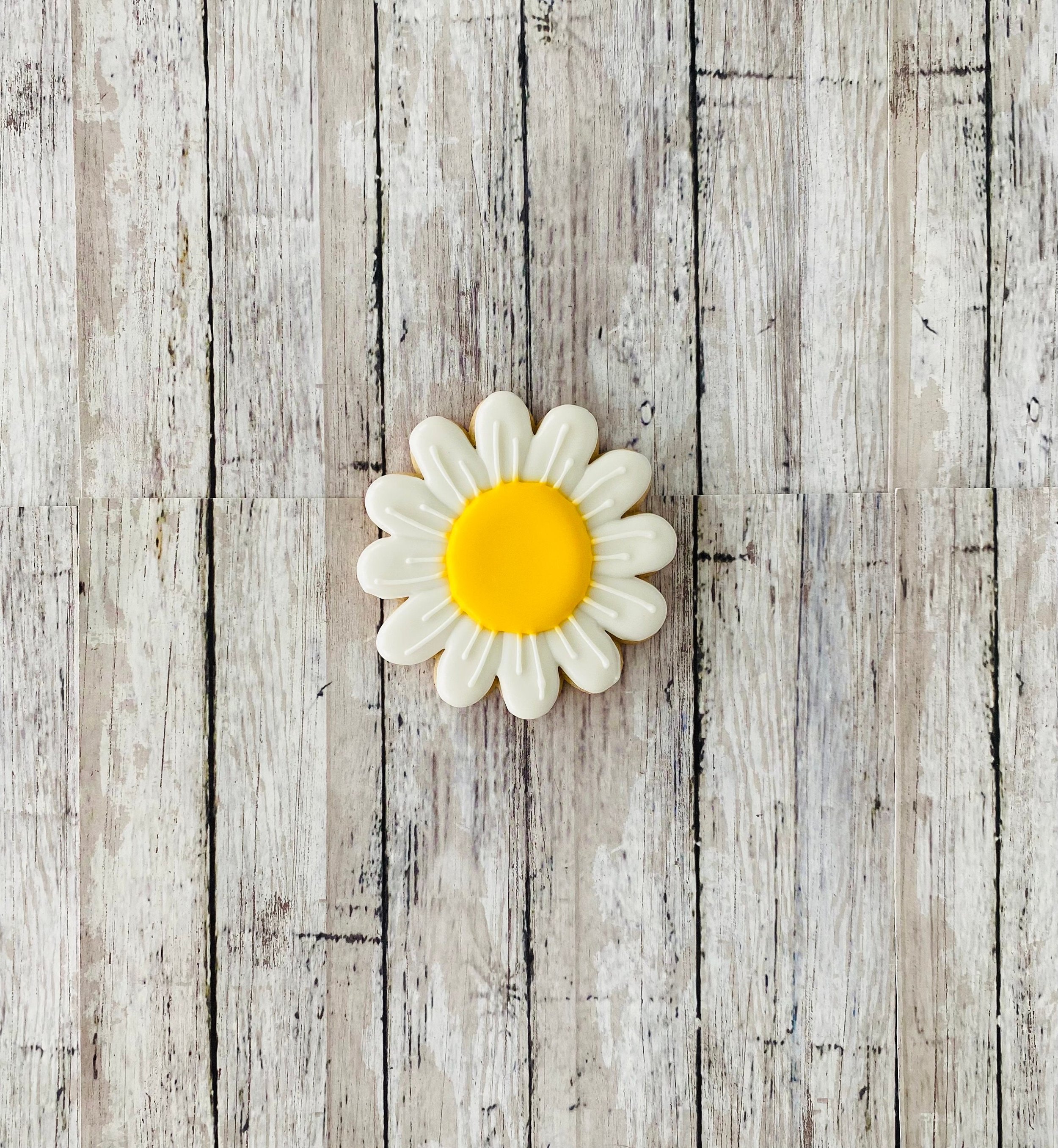 https://i.etsystatic.com/44501333/r/il/5790cf/5796392613/il_fullxfull.5796392613_5139.jpg