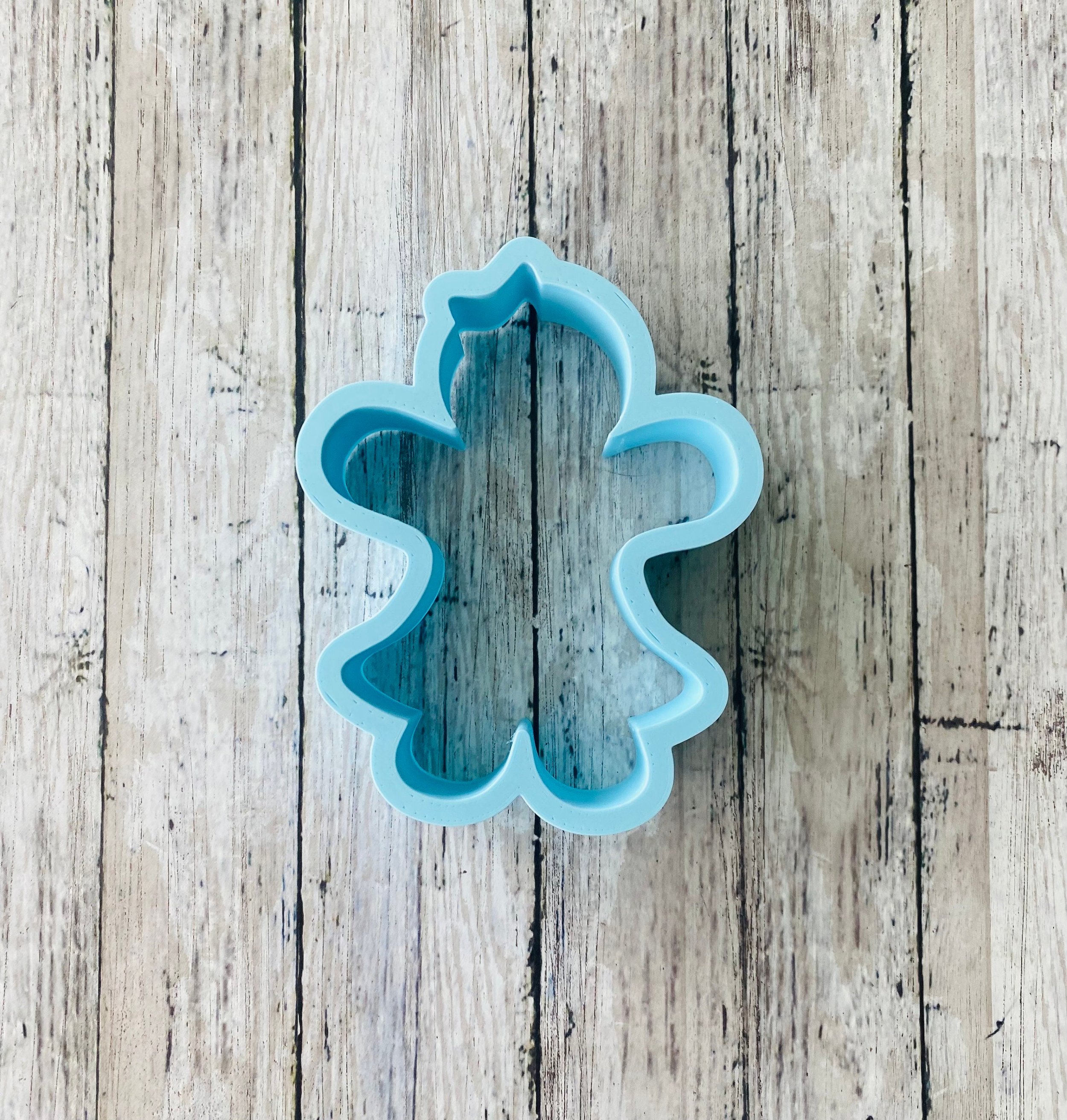 https://i.etsystatic.com/44501333/r/il/fdf9df/5338835709/il_fullxfull.5338835709_bb2y.jpg