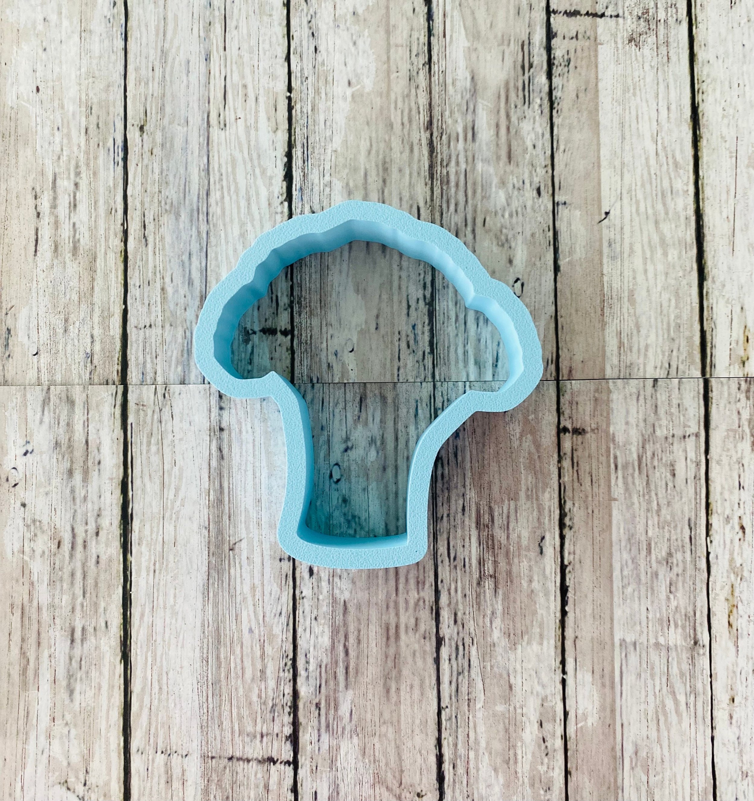 https://i.etsystatic.com/44501333/r/il/c57198/6136169261/il_fullxfull.6136169261_9zke.jpg