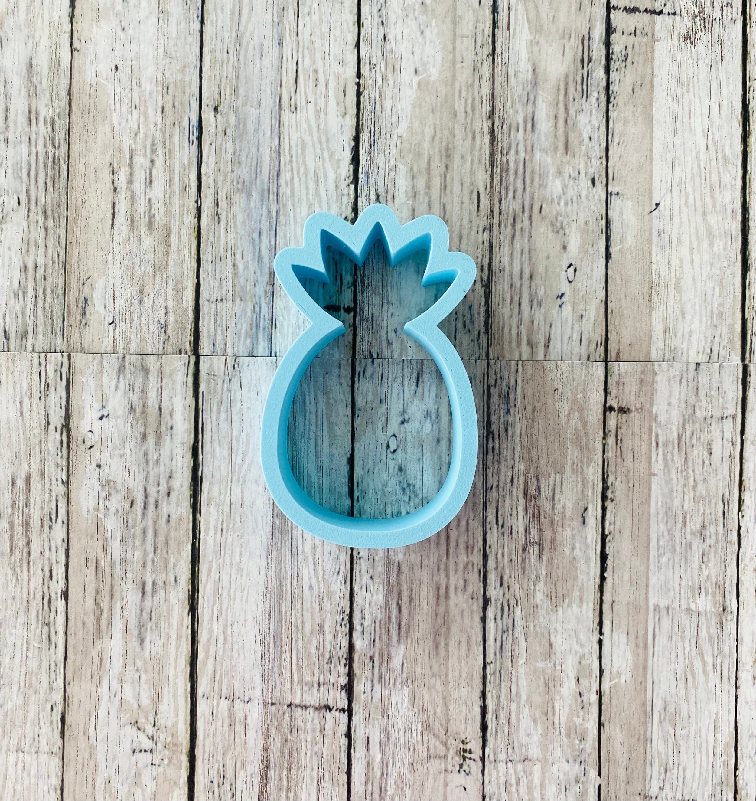 https://i.etsystatic.com/44501333/r/il/24df73/6088063286/il_fullxfull.6088063286_t8wh.jpg