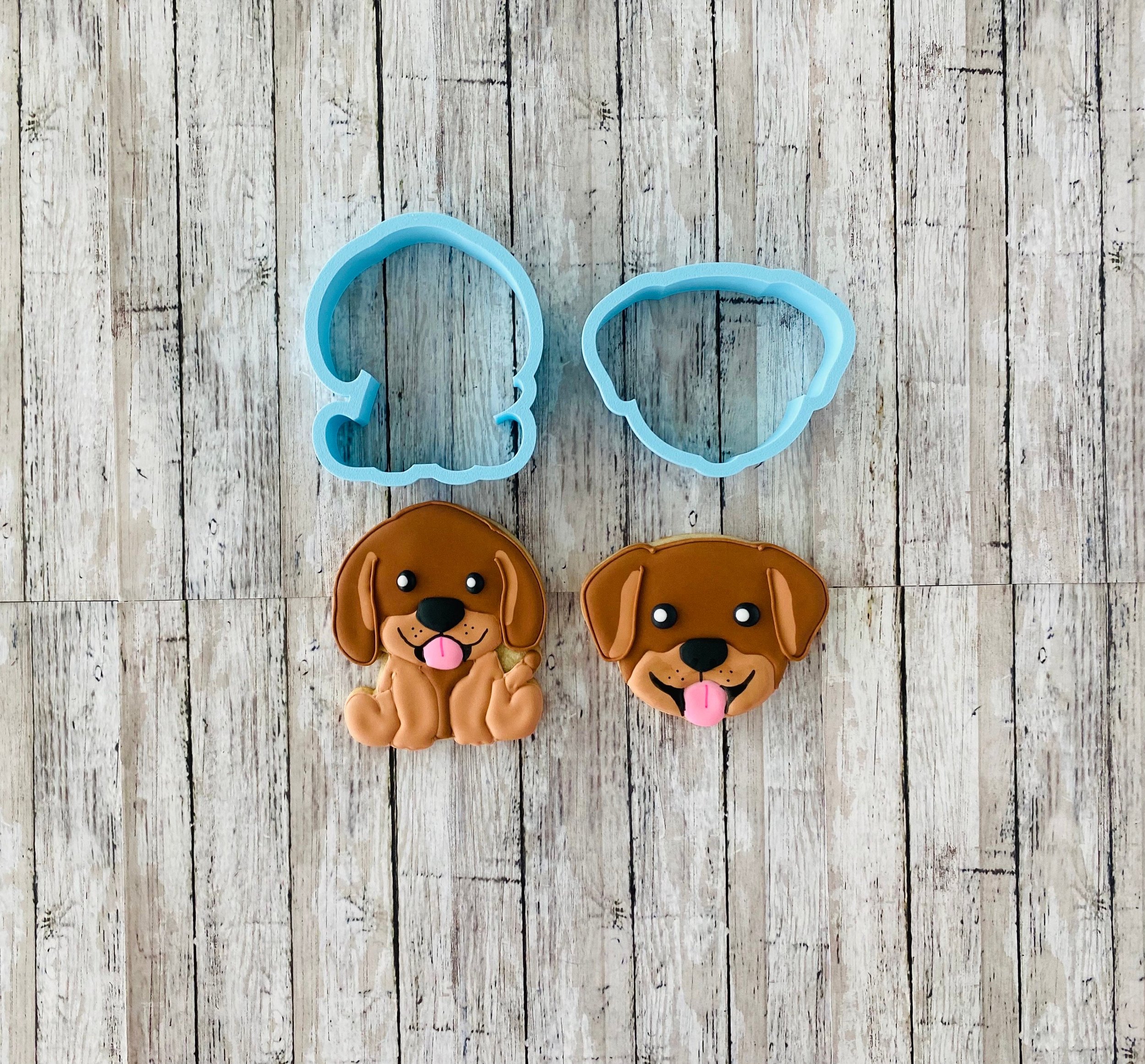 https://i.etsystatic.com/44501333/r/il/4ec60d/5711581764/il_fullxfull.5711581764_fjst.jpg