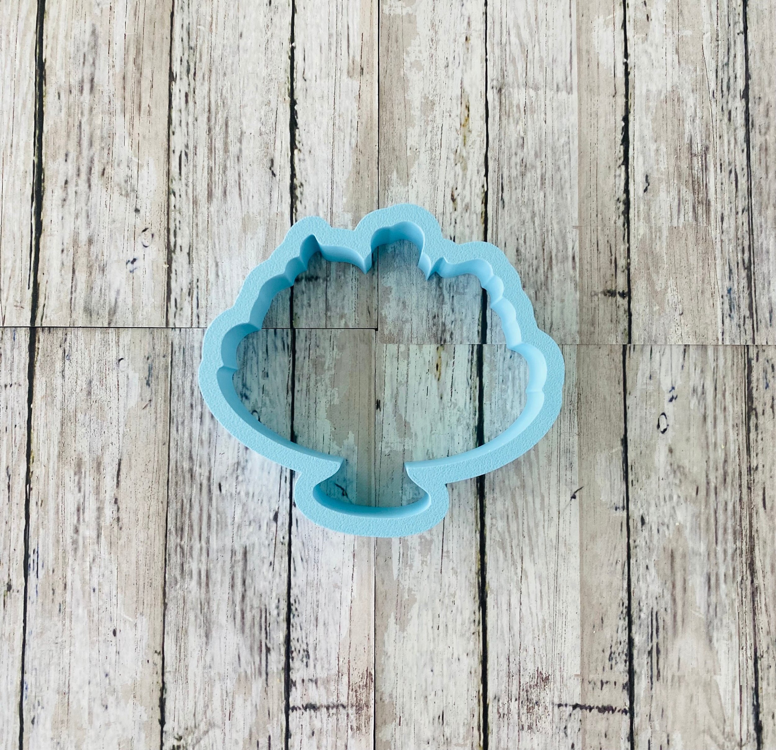 https://i.etsystatic.com/44501333/r/il/01b667/6090208795/il_fullxfull.6090208795_texu.jpg