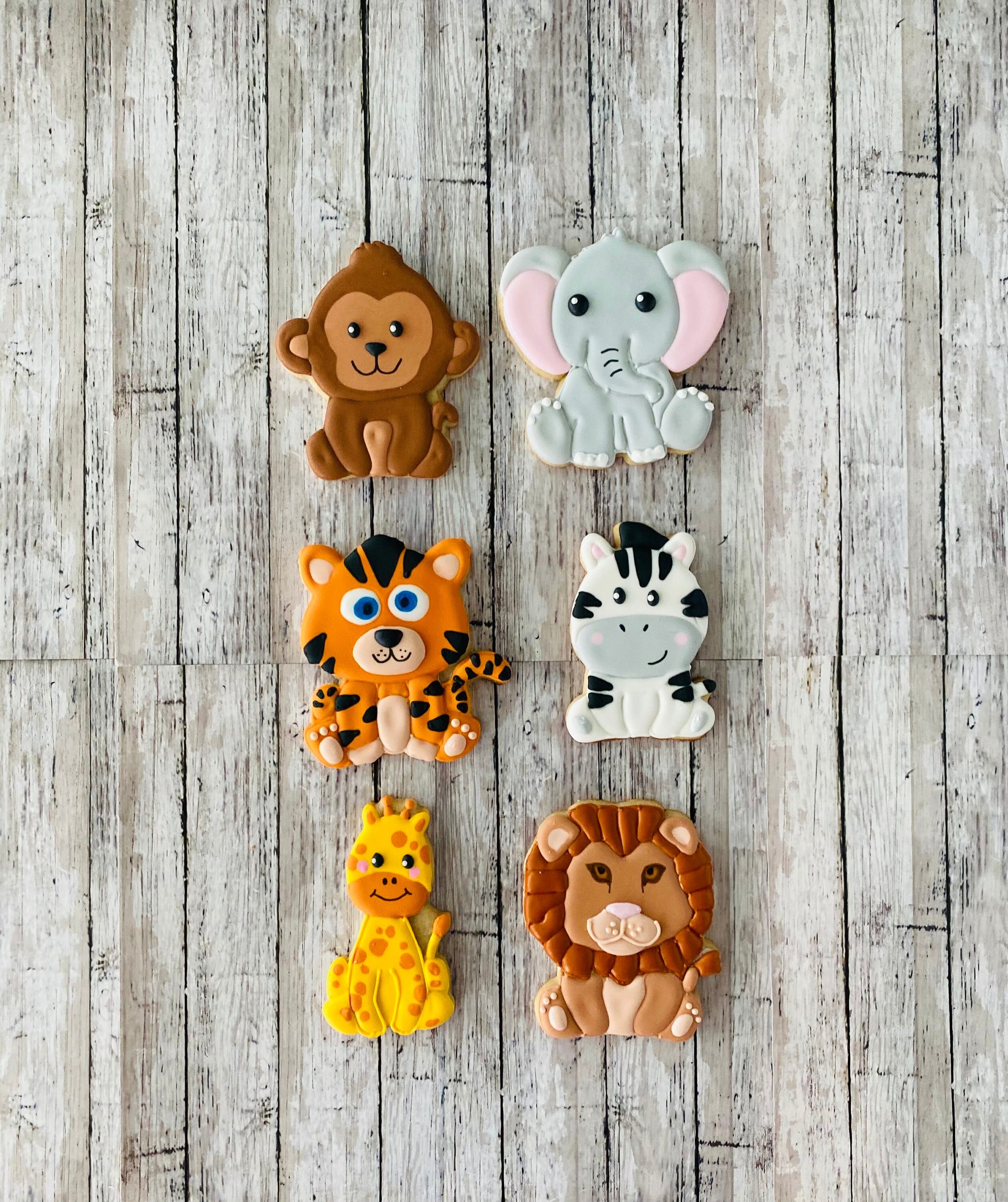 https://i.etsystatic.com/44501333/r/il/b2571d/5761322279/il_fullxfull.5761322279_enxp.jpg