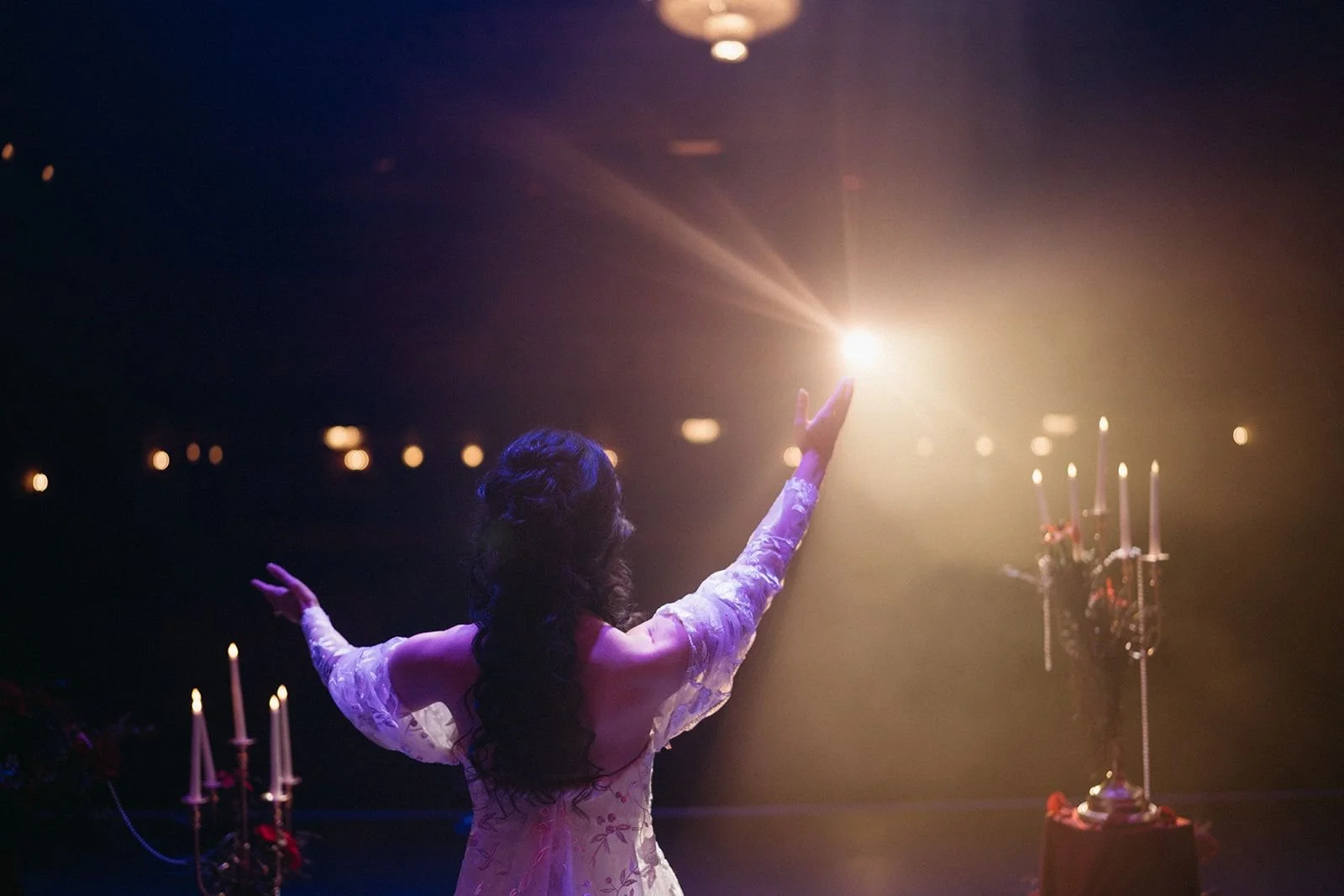 Easton State Theatre Center for the Arts Wedding-09930.jpg