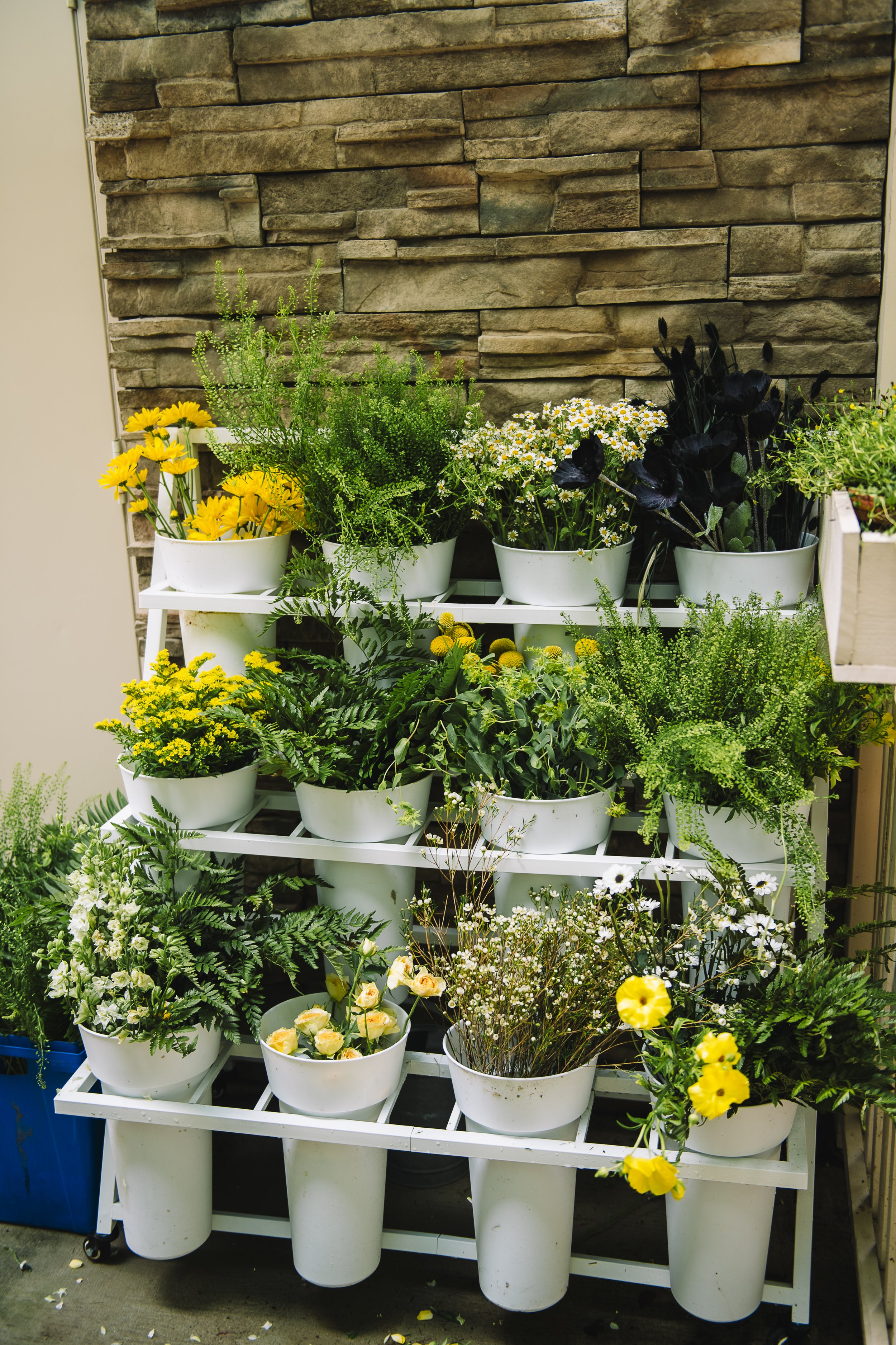 A white multi-tiered plant stand with various potted yellow, white, and black flowers and green foliage against a stone wall background.