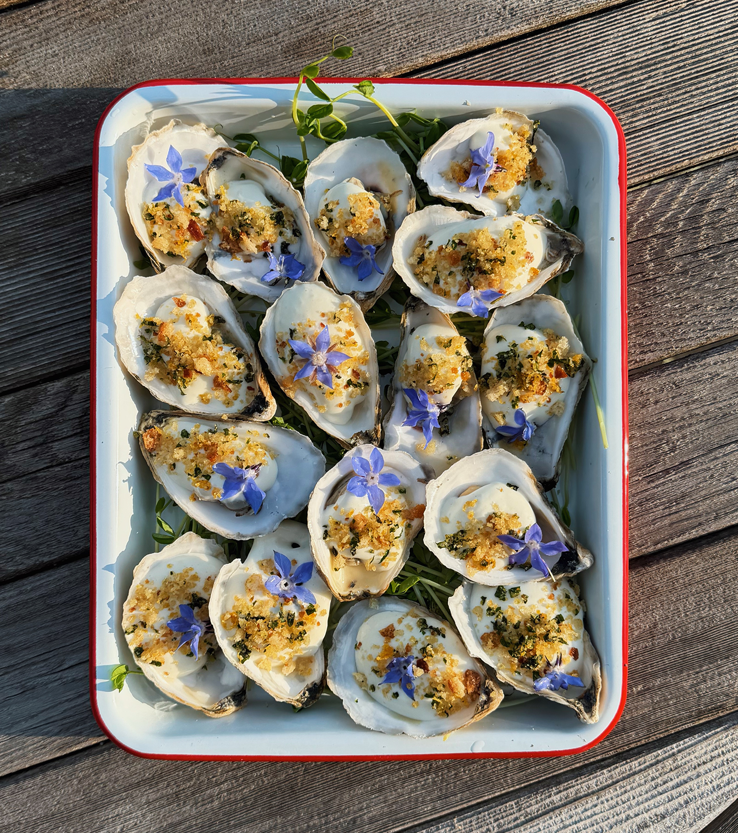 pic oysters.png