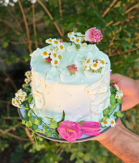 cake pic.png