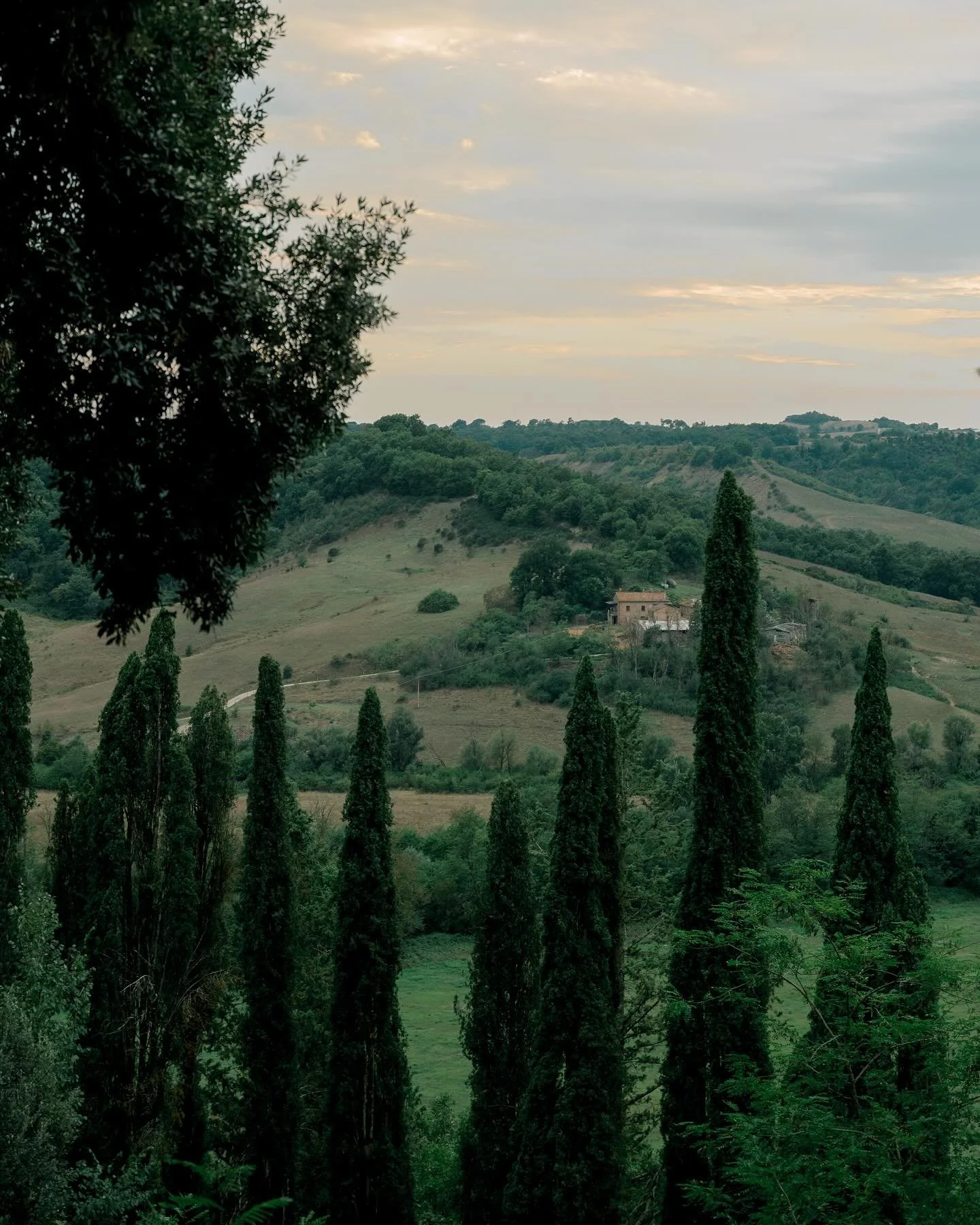 4 days in Tuscany with Allie &amp; Connor &mdash; I&rsquo;ll never be the same ! I&rsquo;ll have my words soon &hellip; maybe when the film hits. For now I&rsquo;ll keep saying thank you endlessly to this awesome couple whose vows I&rsquo;d listen to