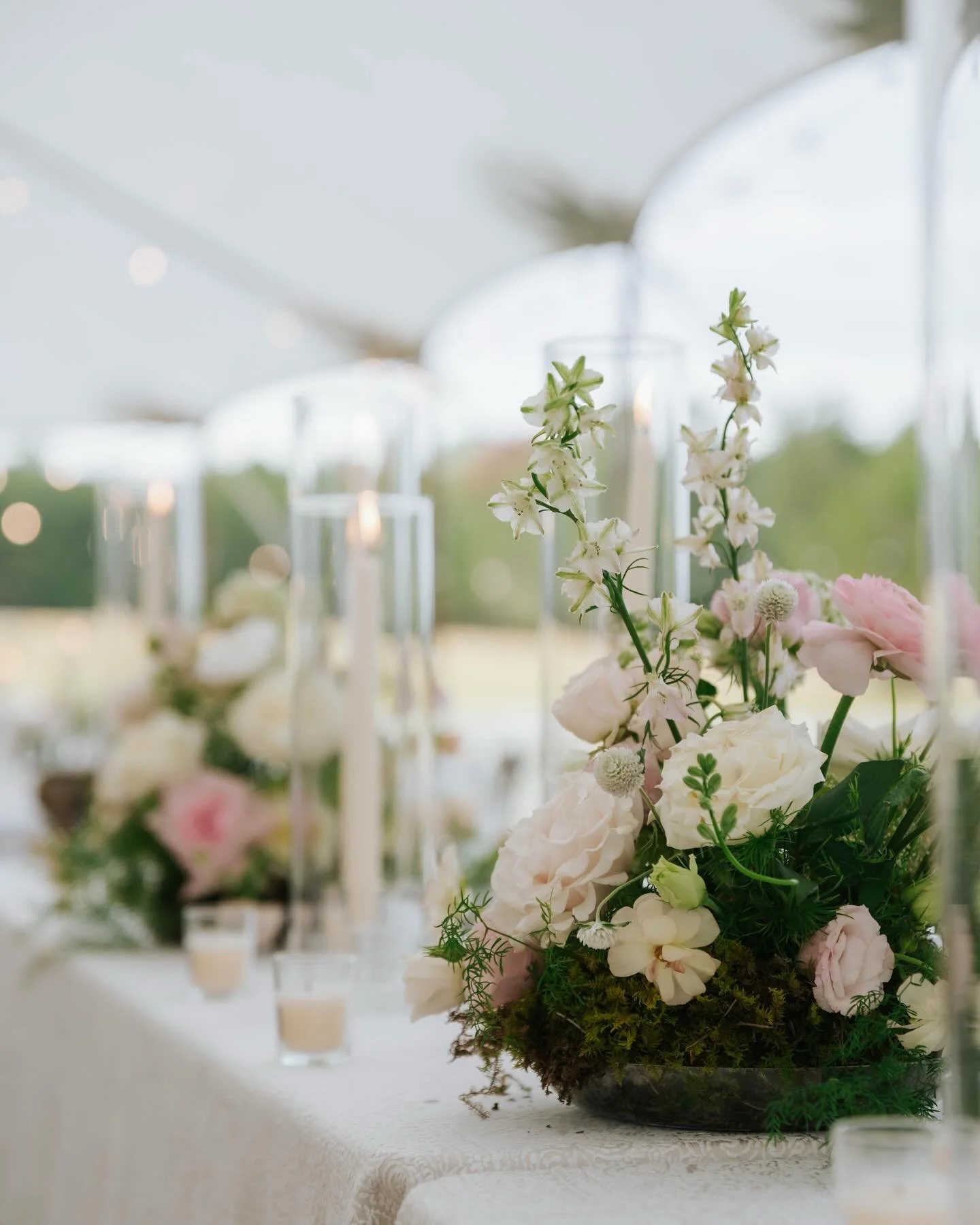 these photos barely scratch the surface of an incredible October wedding weekend for the English&rsquo;s &mdash; more to come when the film hits of course 💌 p.s. last pic is the bride on stage iconically performing Pink Pony Club &mdash; it&rsquo;s 