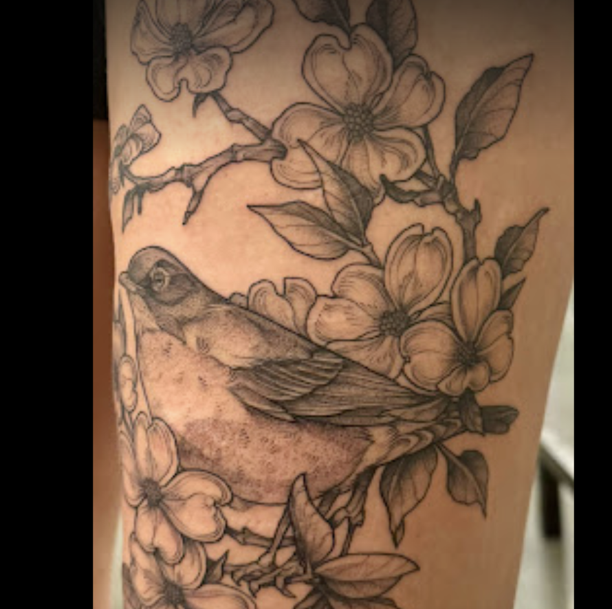 Screenshot 2024-09-24 at 1.56.53 PM.png