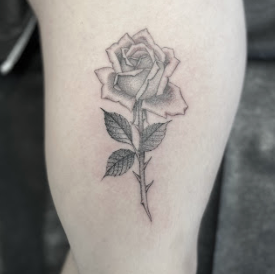 Screenshot 2024-09-24 at 1.55.10 PM.png