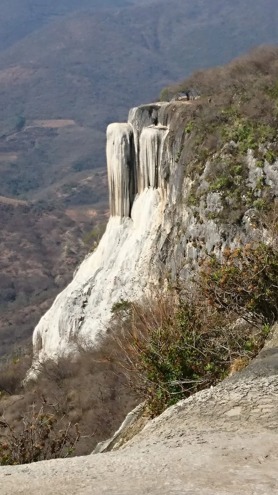 WhatsApp Image 2024-07-18 at 18.35.18 (1).jpeg